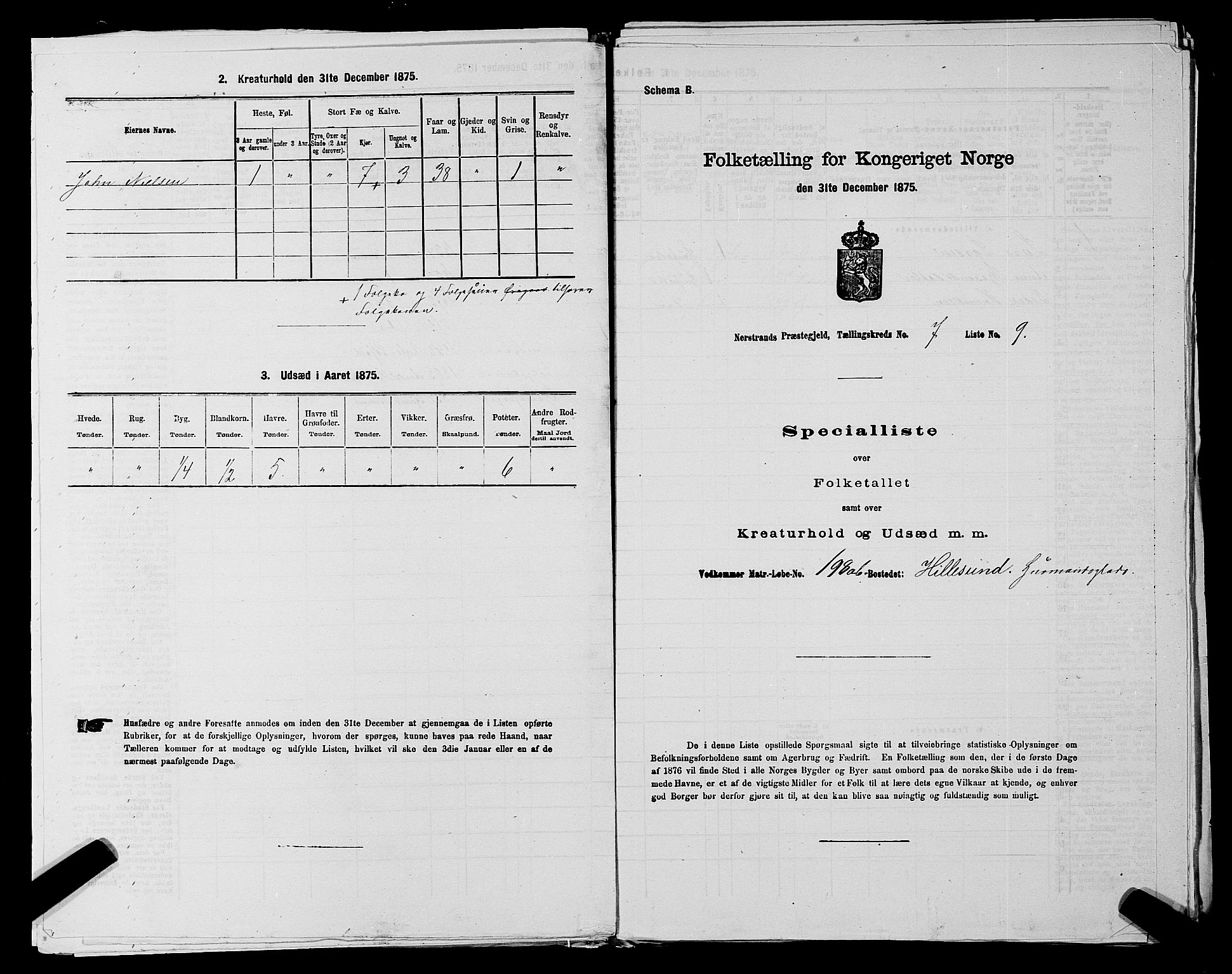 SAST, 1875 census for 1139P Nedstrand, 1875, p. 796