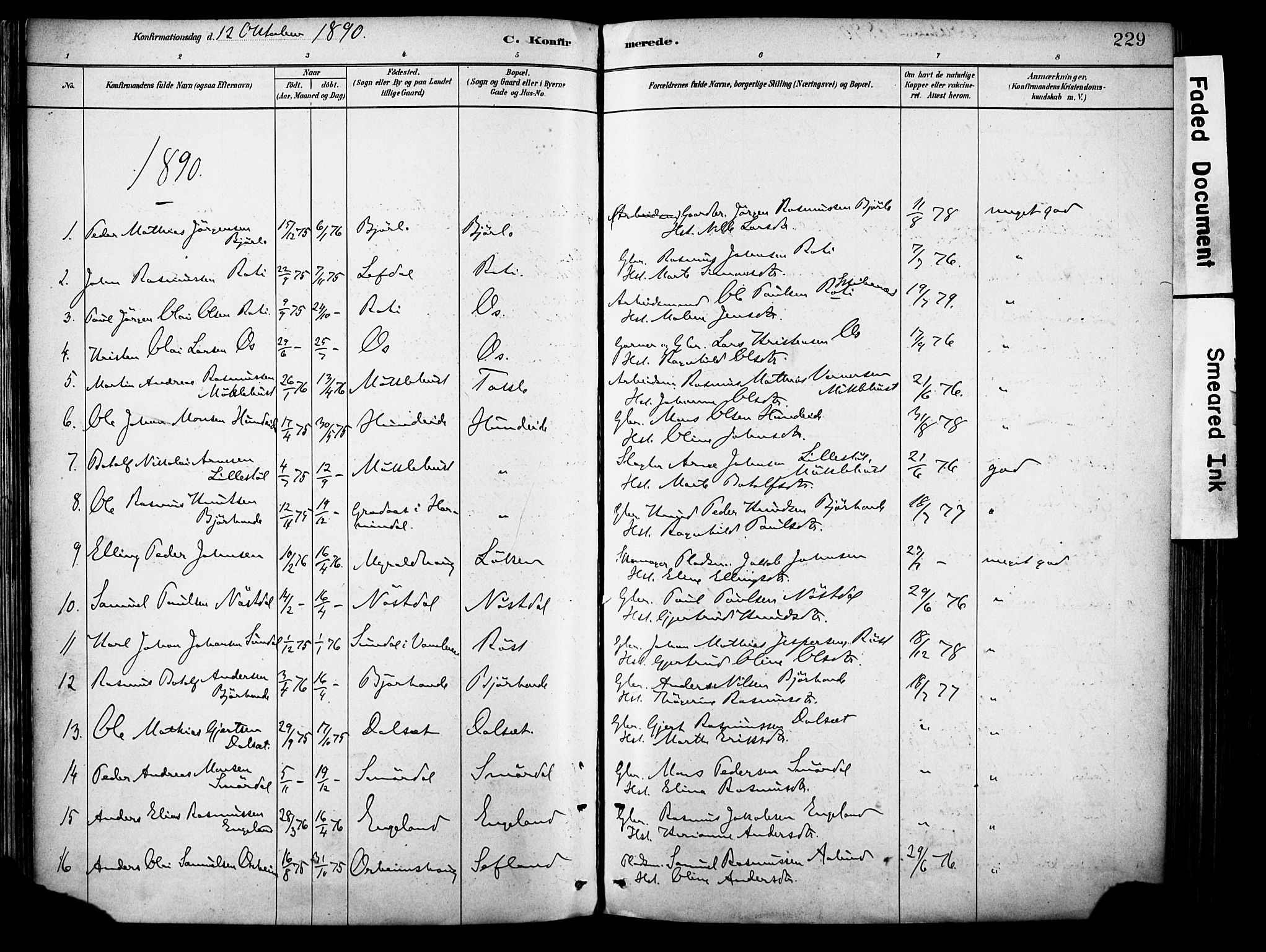 Eid sokneprestembete, SAB/A-82301/H/Haa/Haab/L0001: Parish register (official) no. B 1, 1879-1906, p. 229
