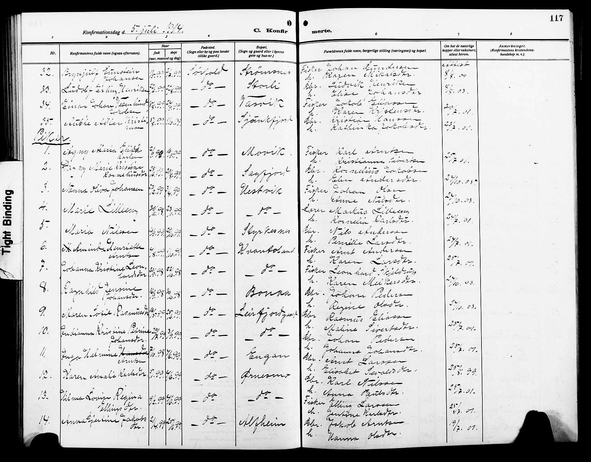 Ministerialprotokoller, klokkerbøker og fødselsregistre - Nordland, AV/SAT-A-1459/854/L0787: Parish register (copy) no. 854C03, 1913-1926, p. 117