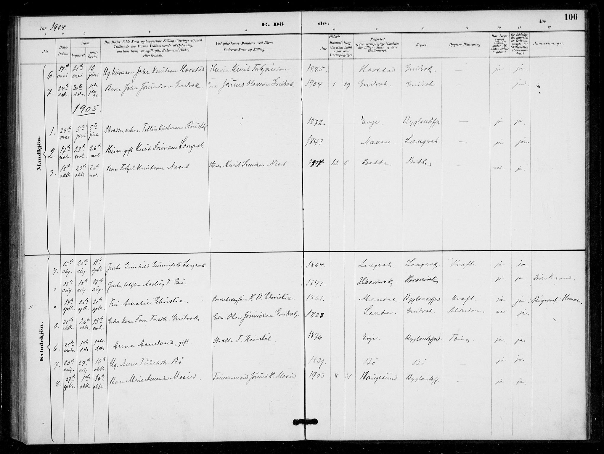 Bygland sokneprestkontor, SAK/1111-0006/F/Fa/Fad/L0001: Parish register (official) no. A 1, 1885-1906, p. 106