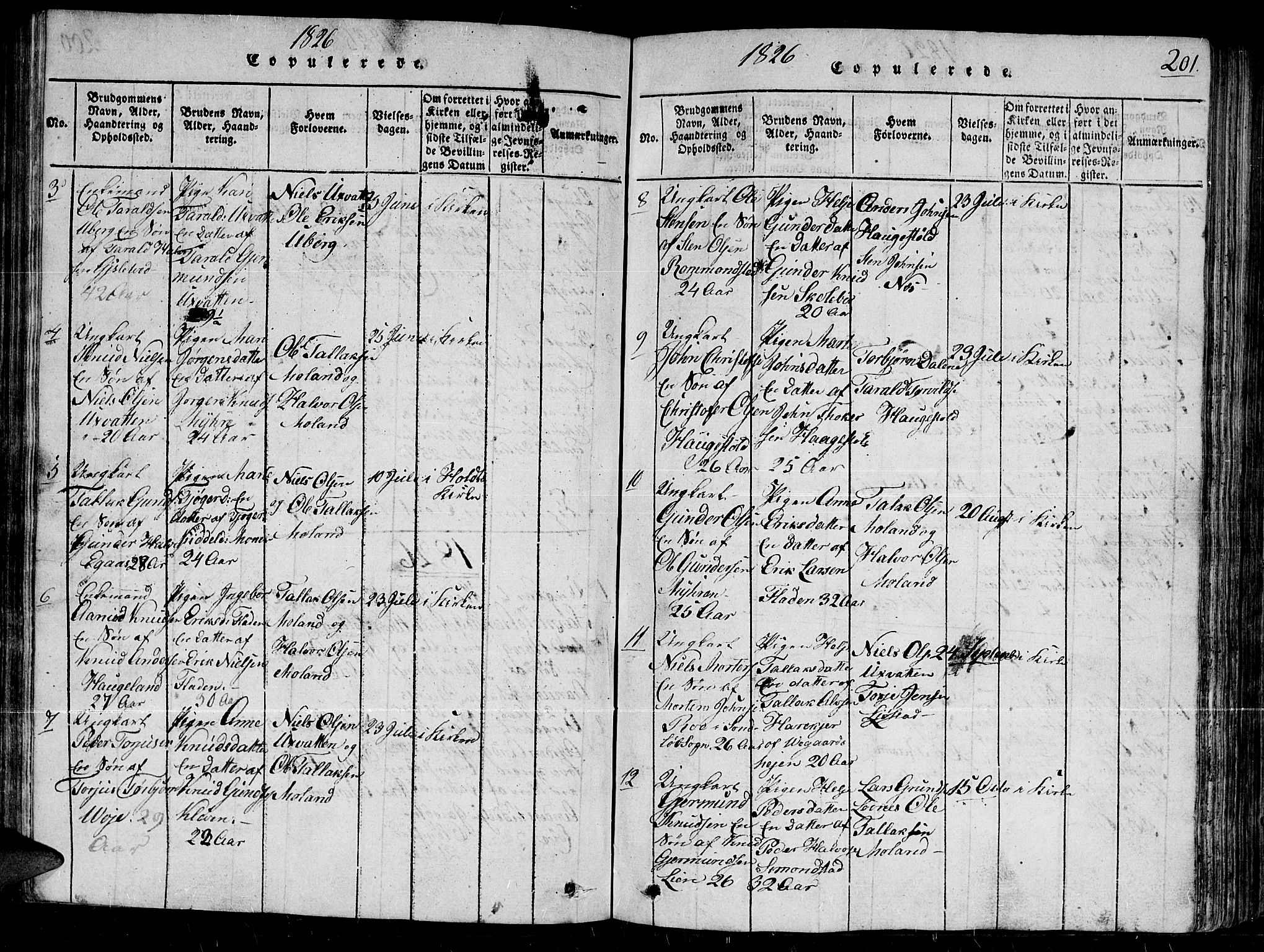 Gjerstad sokneprestkontor, AV/SAK-1111-0014/F/Fb/Fbb/L0001: Parish register (copy) no. B 1, 1813-1863, p. 201