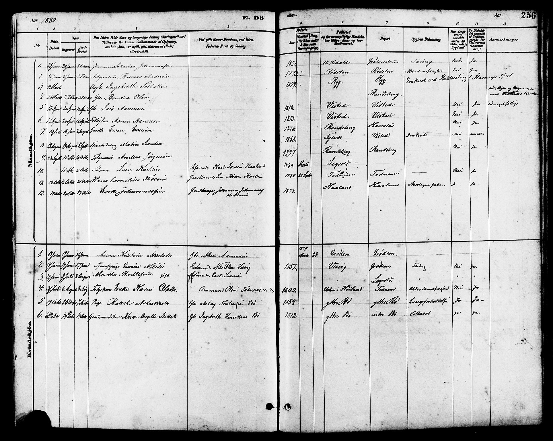 Hetland sokneprestkontor, SAST/A-101826/30/30BB/L0006: Parish register (copy) no. B 6, 1878-1921, p. 256