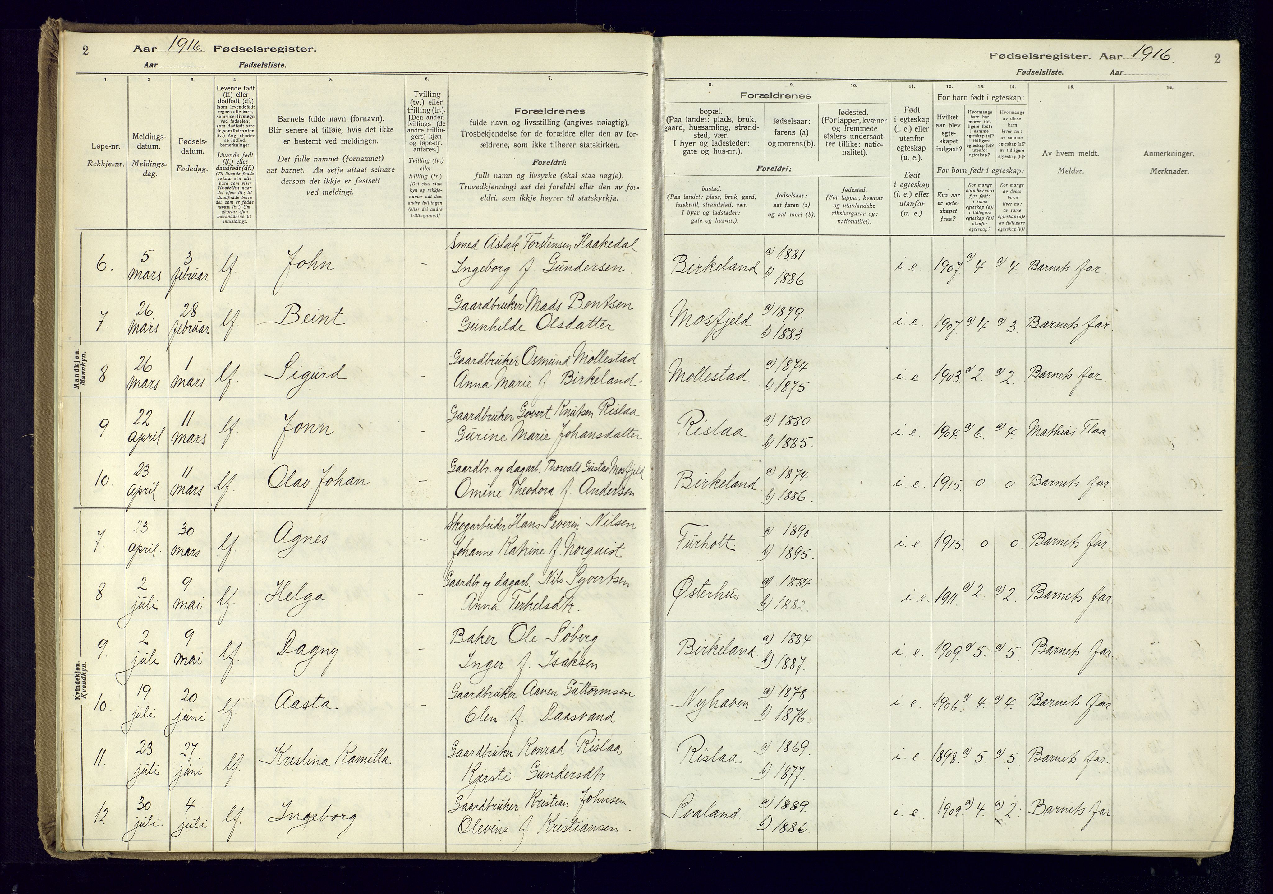 Birkenes sokneprestkontor, AV/SAK-1111-0004/J/Ja/L0001: Birth register no. II.6.4, 1916-1962, p. 2