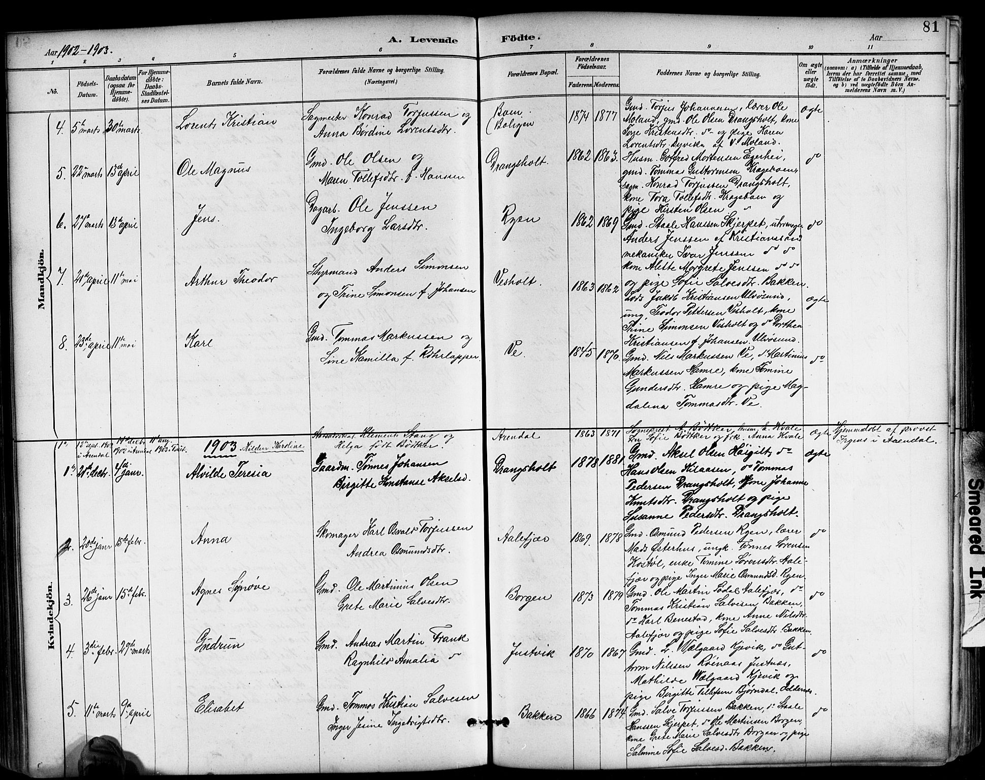 Tveit sokneprestkontor, AV/SAK-1111-0043/F/Fb/L0004: Parish register (copy) no. B 4, 1887-1914, p. 81