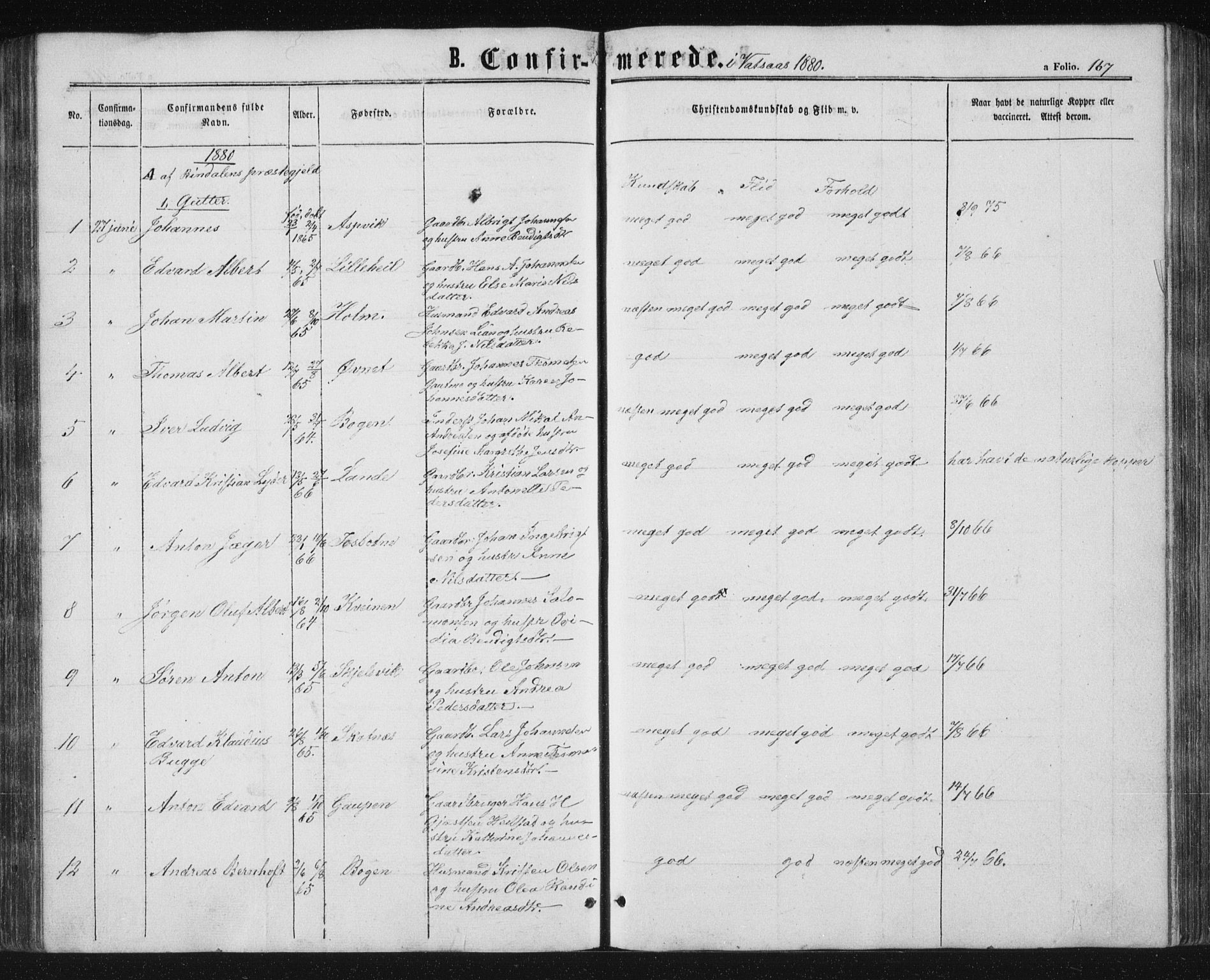 Ministerialprotokoller, klokkerbøker og fødselsregistre - Nordland, AV/SAT-A-1459/810/L0158: Parish register (copy) no. 810C02 /1, 1863-1883, p. 167