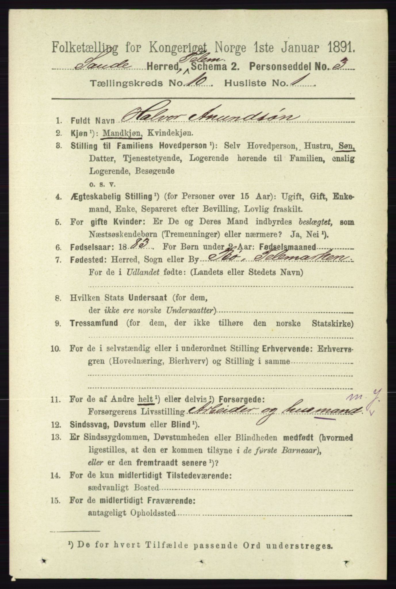 RA, 1891 census for 0822 Sauherad, 1891, p. 3005