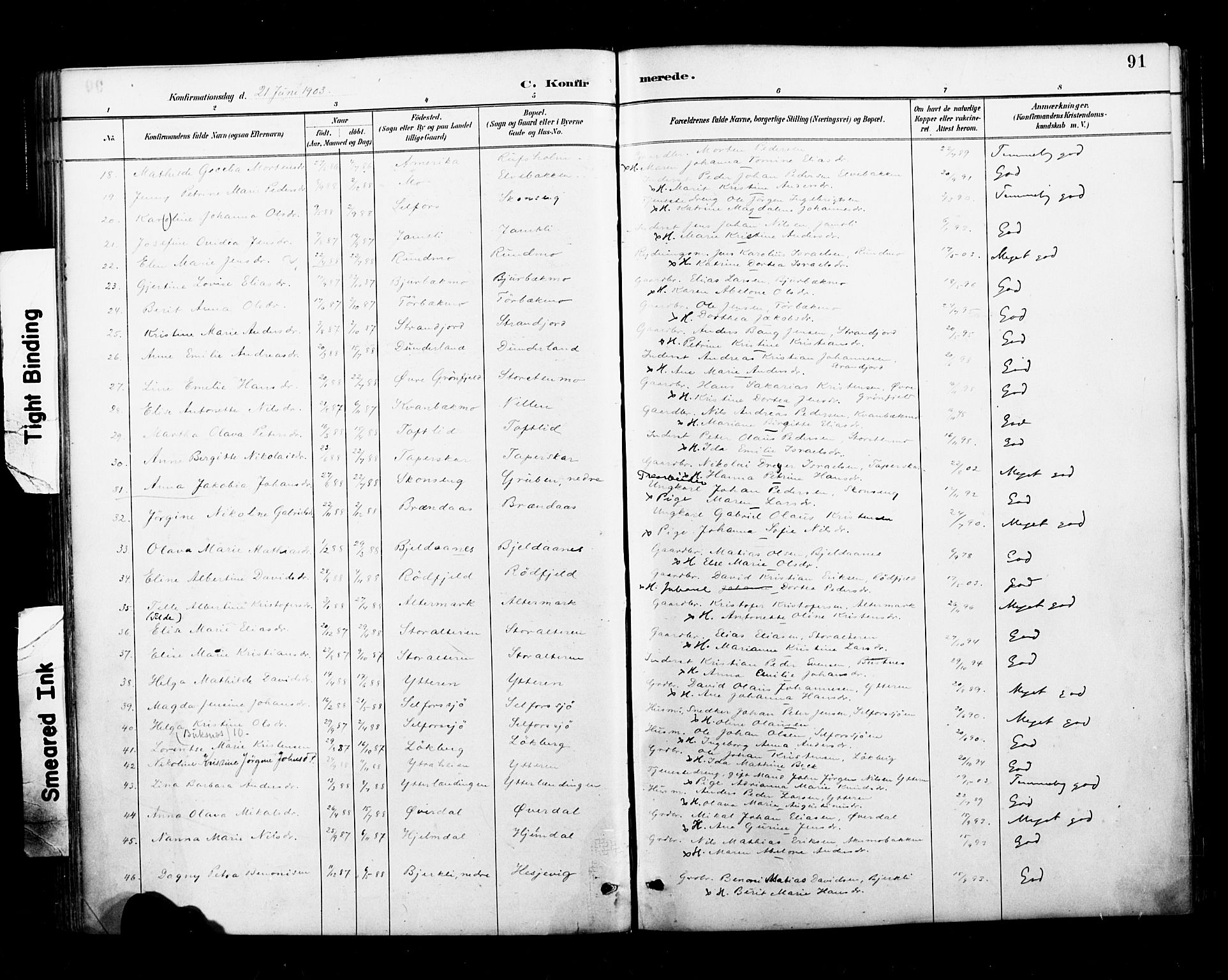 Ministerialprotokoller, klokkerbøker og fødselsregistre - Nordland, AV/SAT-A-1459/827/L0401: Parish register (official) no. 827A13, 1887-1905, p. 91