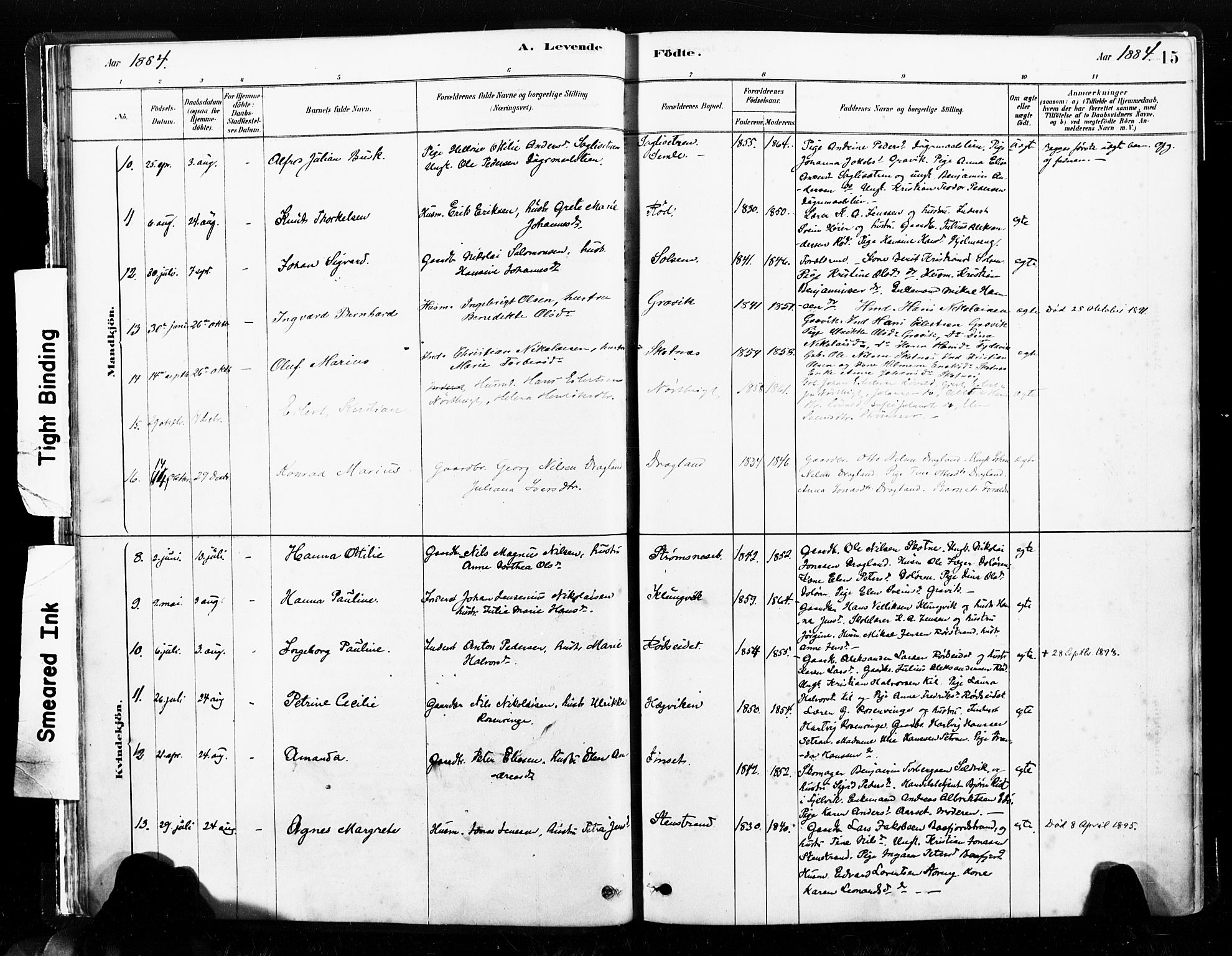 Ministerialprotokoller, klokkerbøker og fødselsregistre - Nord-Trøndelag, SAT/A-1458/789/L0705: Parish register (official) no. 789A01, 1878-1910, p. 15
