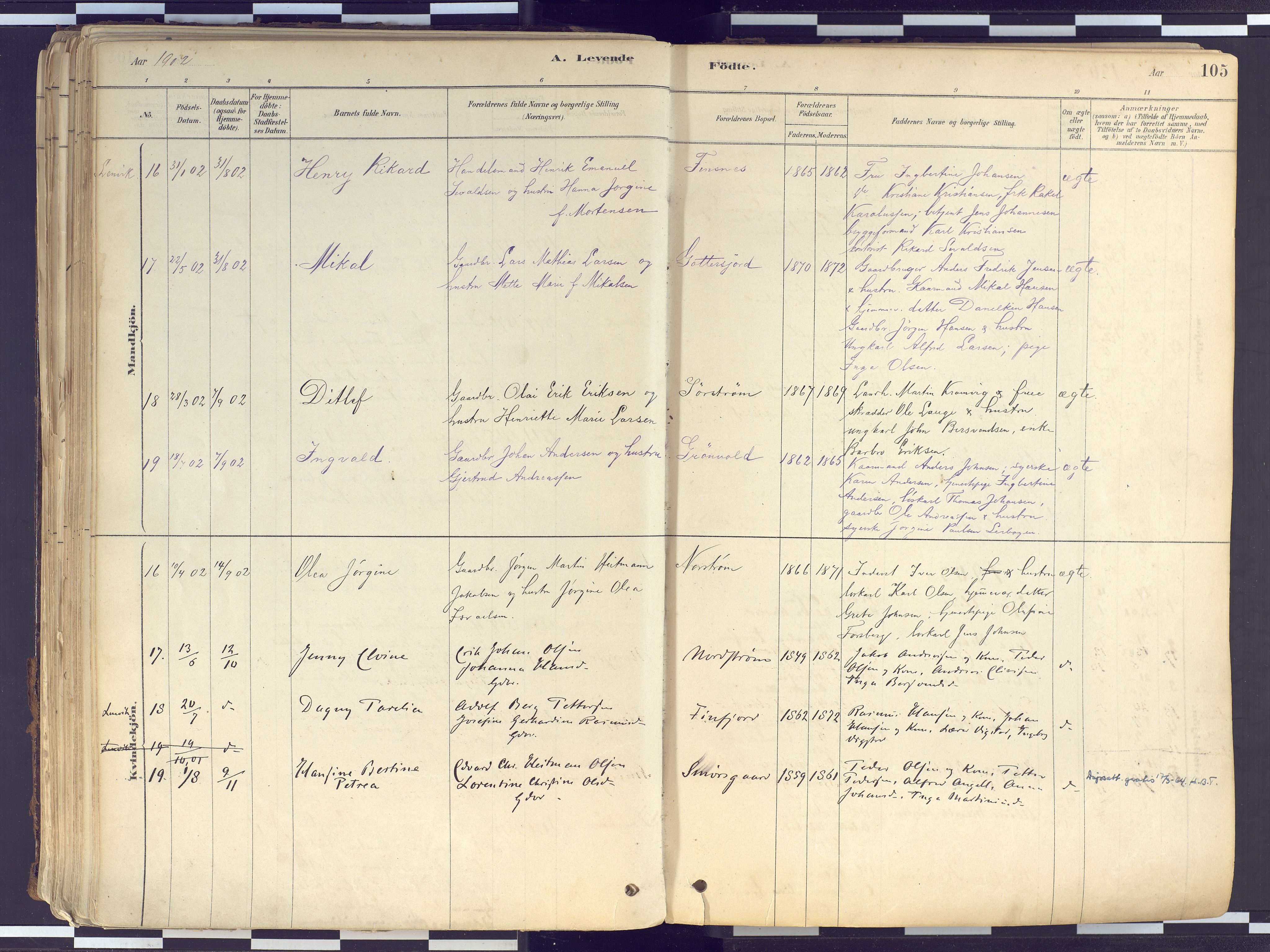 Tranøy sokneprestkontor, AV/SATØ-S-1313/I/Ia/Iaa/L0010kirke: Parish register (official) no. 10, 1878-1904, p. 105