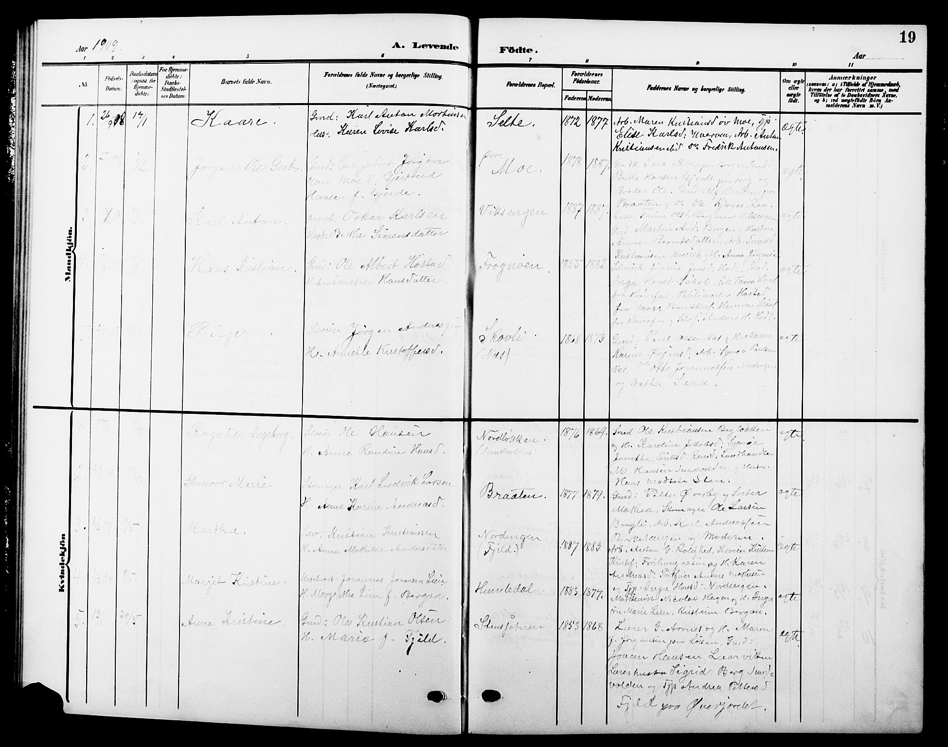 Hole kirkebøker, SAKO/A-228/G/Ga/L0004: Parish register (copy) no. I 4, 1905-1924, p. 19