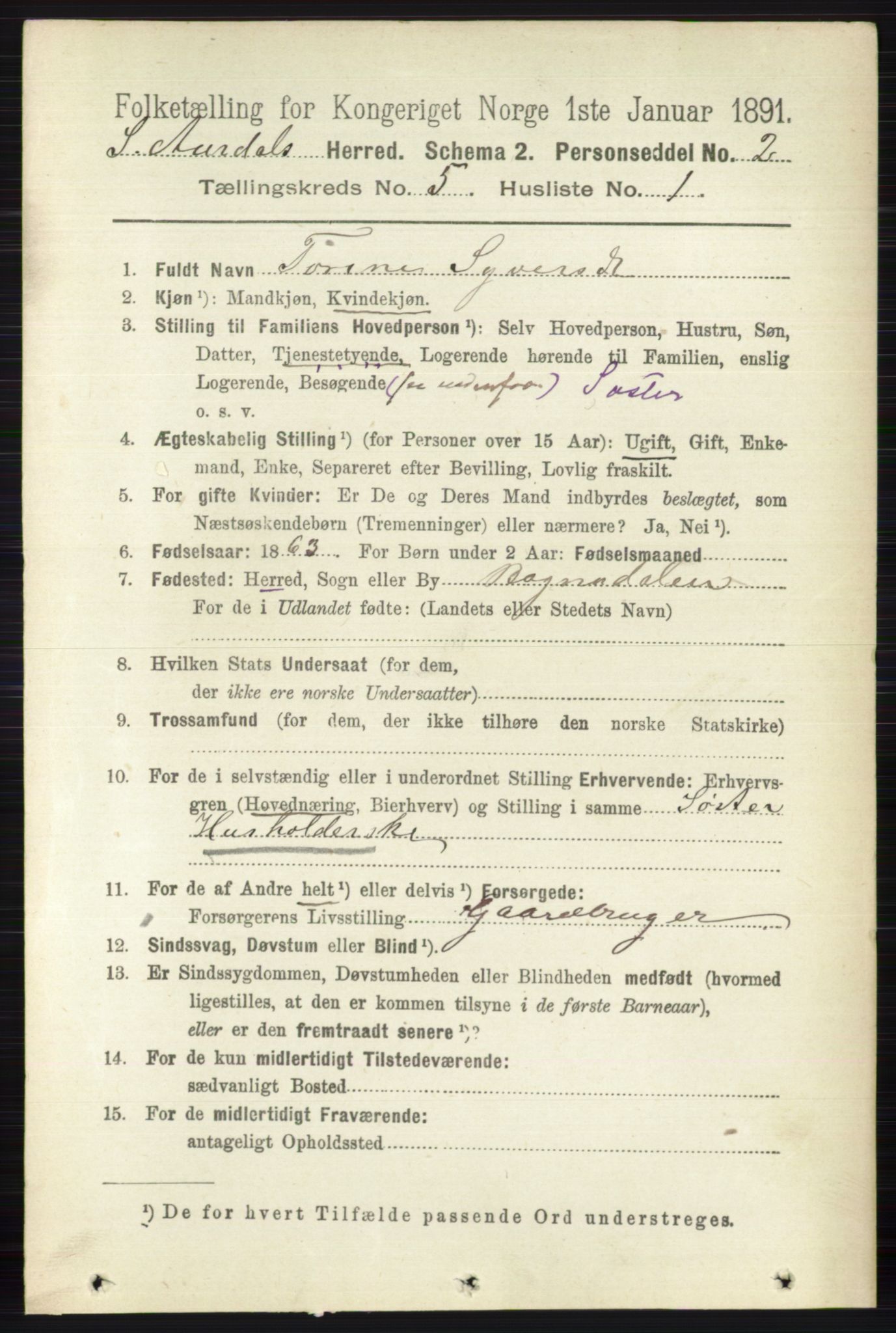 RA, 1891 census for 0540 Sør-Aurdal, 1891, p. 3157