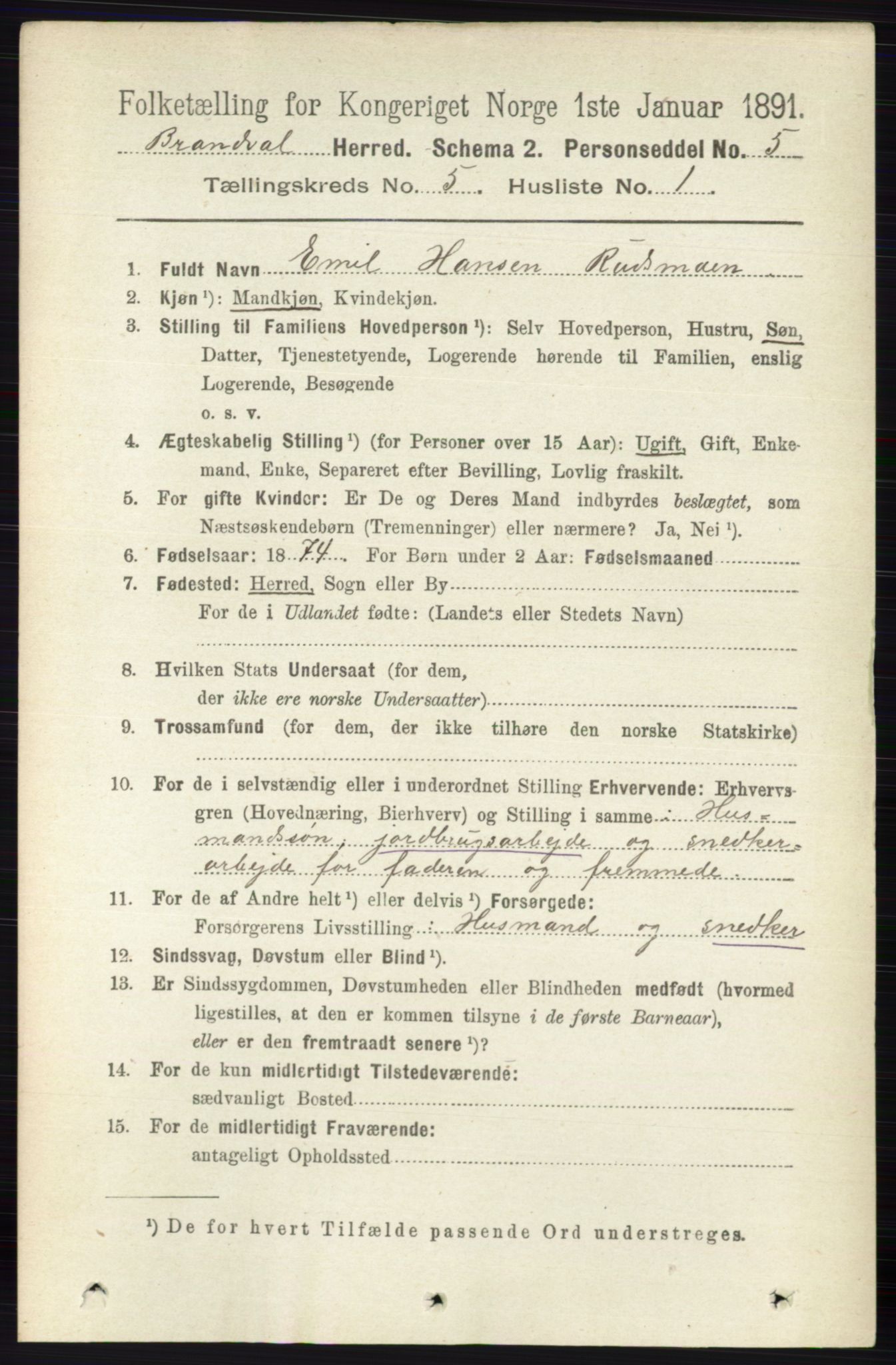 RA, 1891 census for 0422 Brandval, 1891, p. 2205