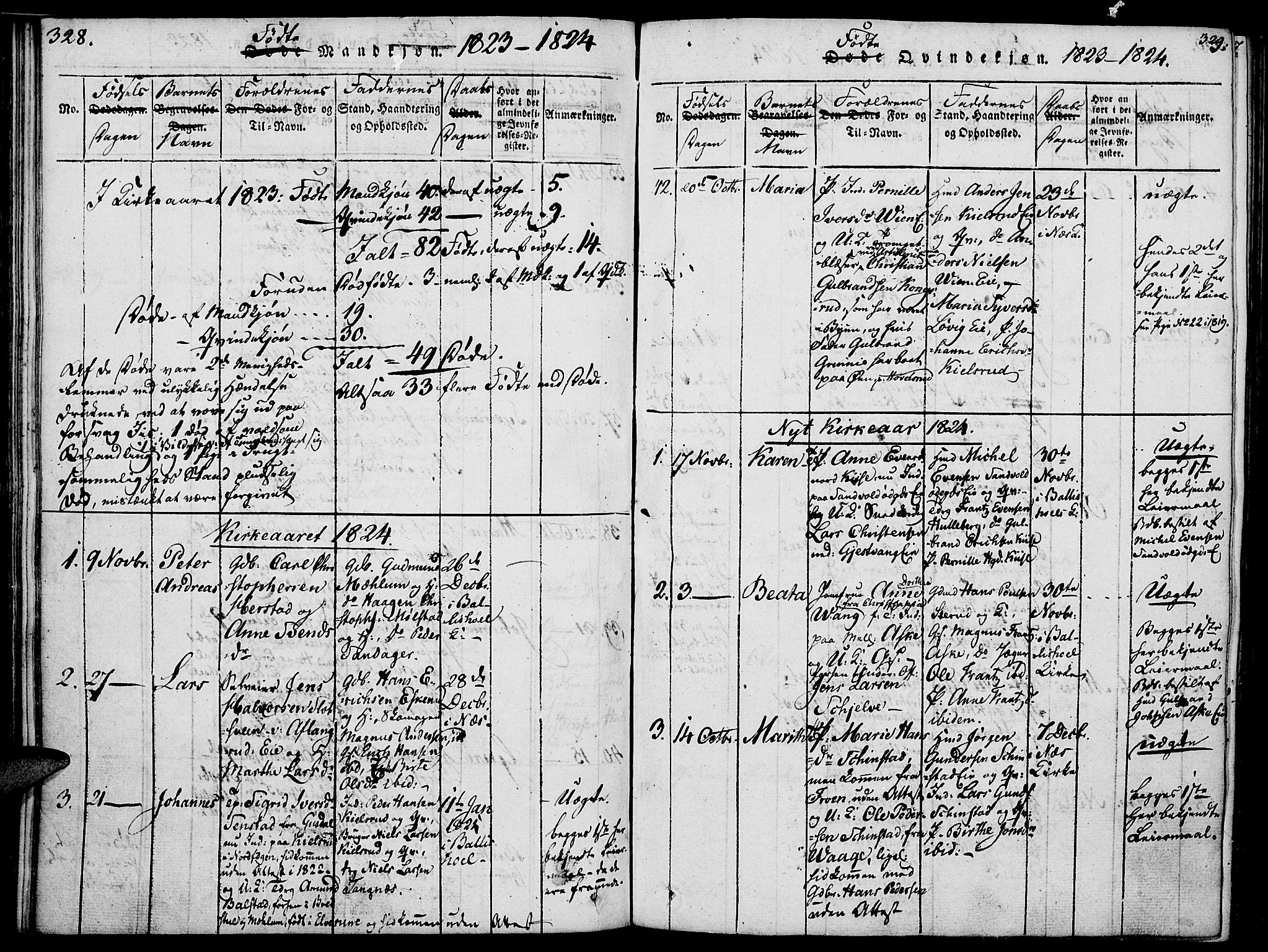 Nes prestekontor, Hedmark, SAH/PREST-020/K/Ka/L0002: Parish register (official) no. 2, 1813-1827, p. 328-329