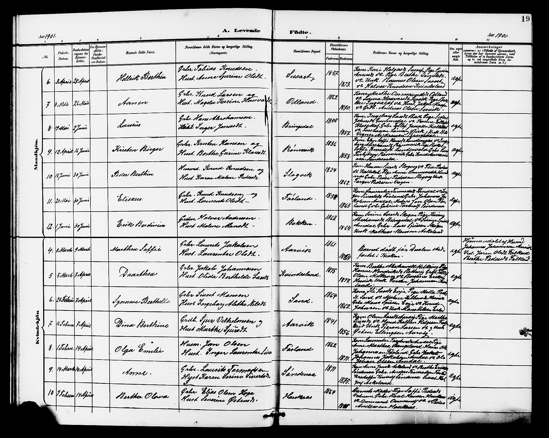 Tysvær sokneprestkontor, AV/SAST-A -101864/H/Ha/Haa/L0008: Parish register (official) no. A 8, 1897-1912, p. 19