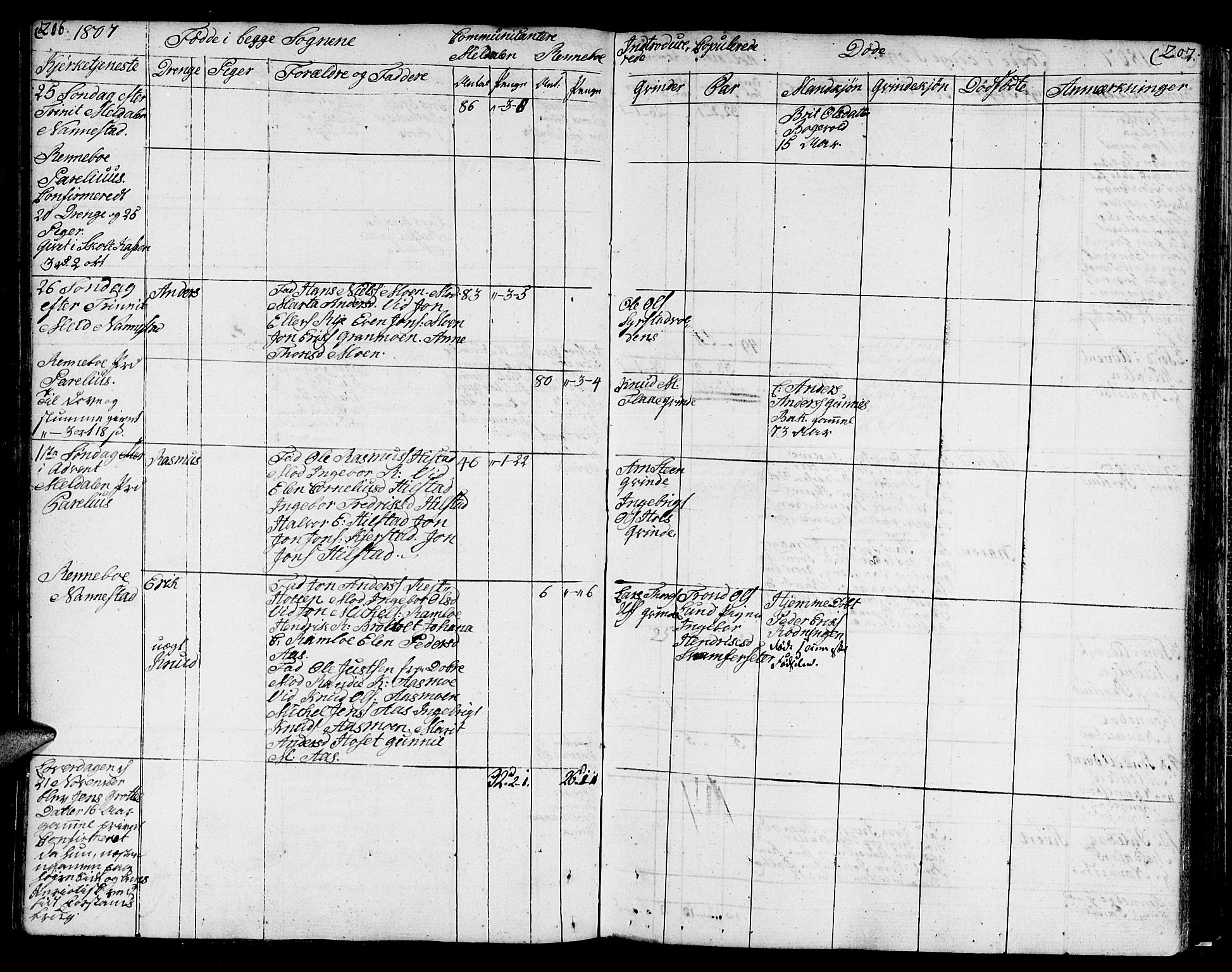 Ministerialprotokoller, klokkerbøker og fødselsregistre - Sør-Trøndelag, SAT/A-1456/672/L0852: Parish register (official) no. 672A05, 1776-1815, p. 206-207