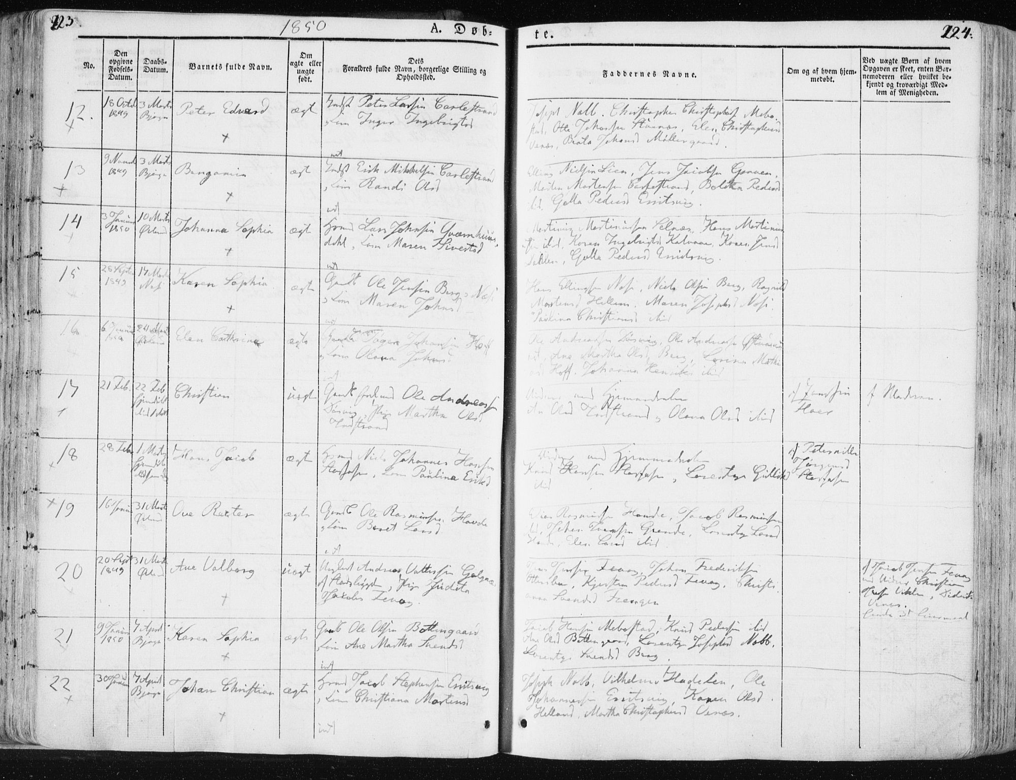 Ministerialprotokoller, klokkerbøker og fødselsregistre - Sør-Trøndelag, SAT/A-1456/659/L0736: Parish register (official) no. 659A06, 1842-1856, p. 223-224