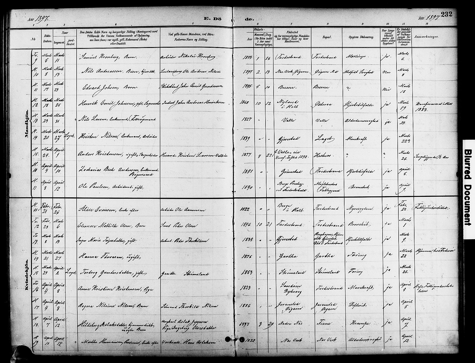 Holt sokneprestkontor, AV/SAK-1111-0021/F/Fb/L0011: Parish register (copy) no. B 11, 1897-1921, p. 232