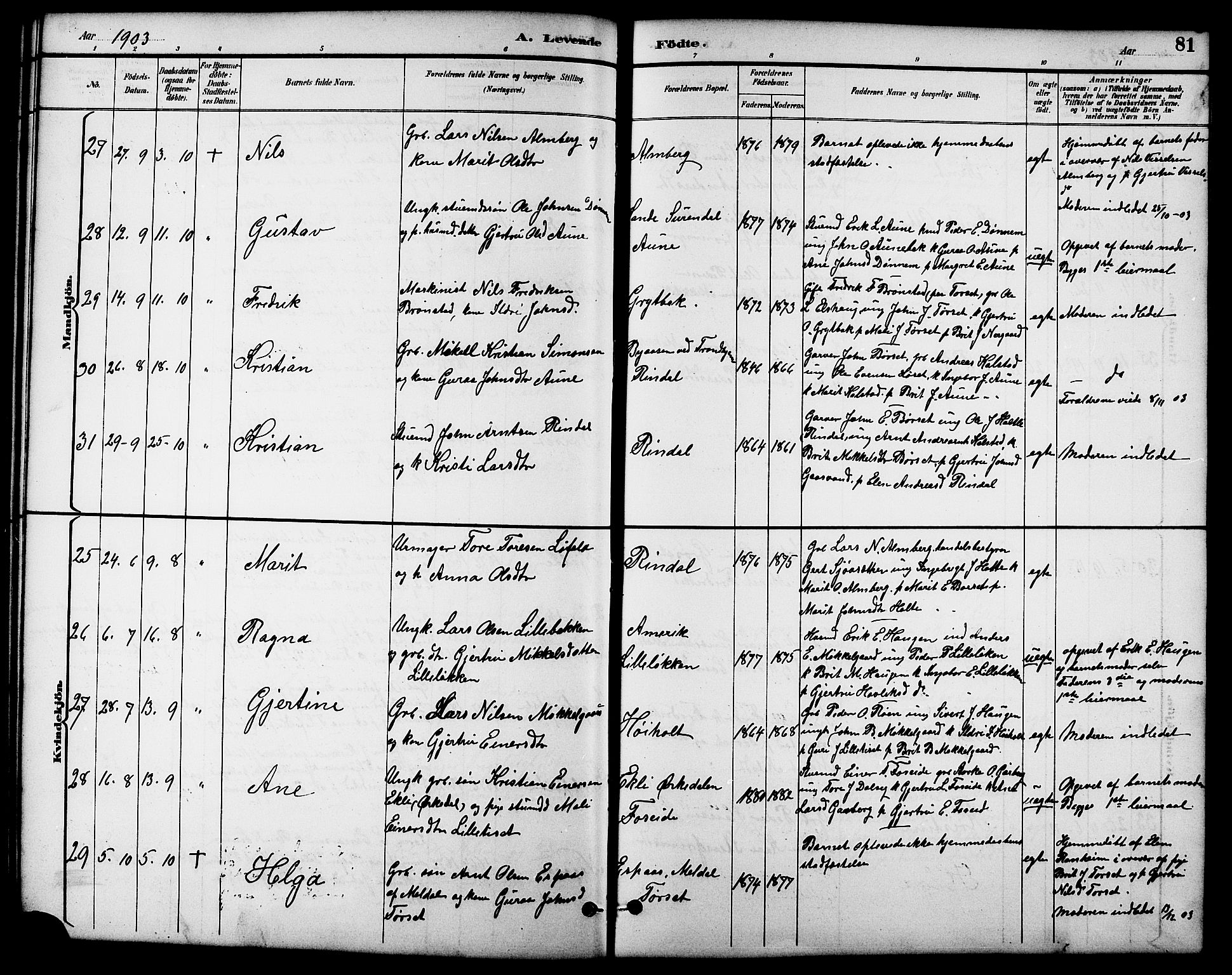 Ministerialprotokoller, klokkerbøker og fødselsregistre - Møre og Romsdal, AV/SAT-A-1454/598/L1078: Parish register (copy) no. 598C03, 1892-1909, p. 81