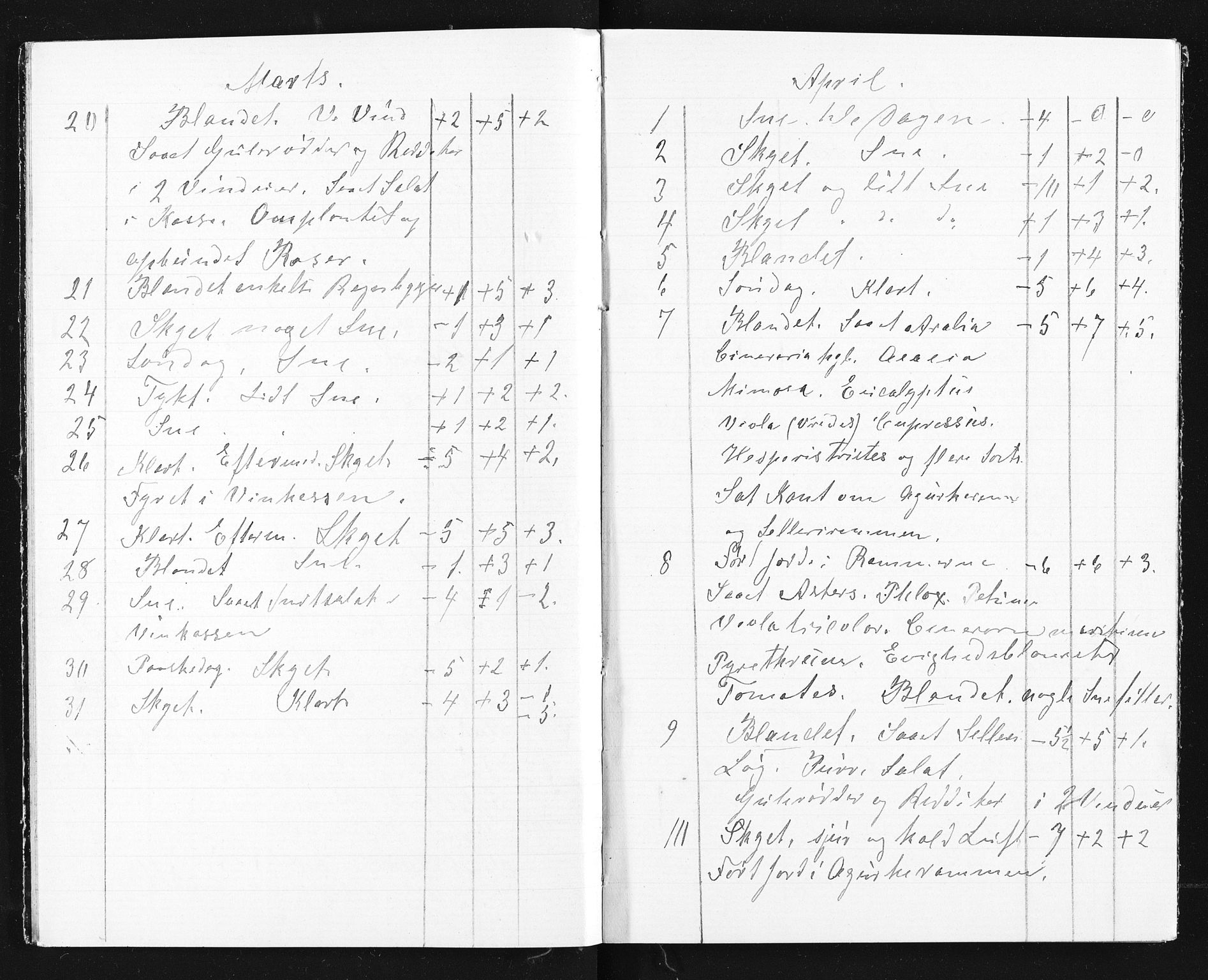 Familien Aalls privatarkiv , NESJ/NJM-005/E-00003/L0001/0002/0007: Dag- og notatbøker / Dølner dagbok-bokpakke 002, 1902-1905