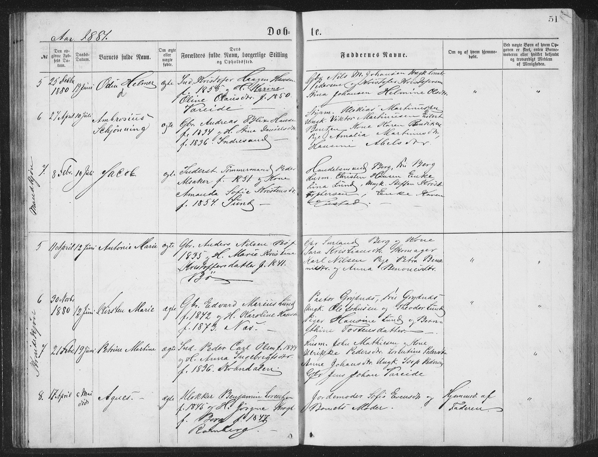 Ministerialprotokoller, klokkerbøker og fødselsregistre - Nordland, AV/SAT-A-1459/885/L1213: Parish register (copy) no. 885C02, 1874-1892, p. 51