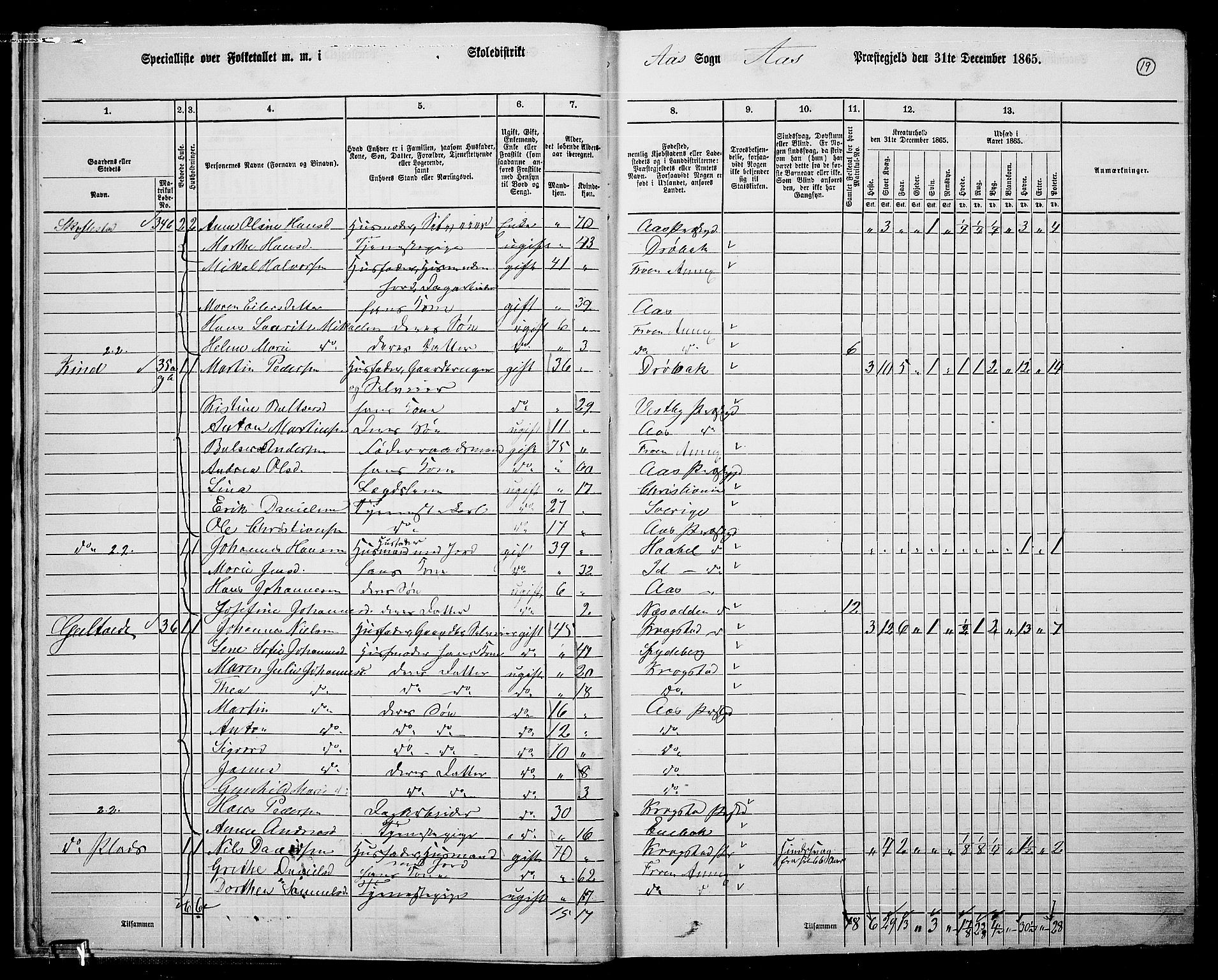 RA, 1865 census for Ås, 1865, p. 16