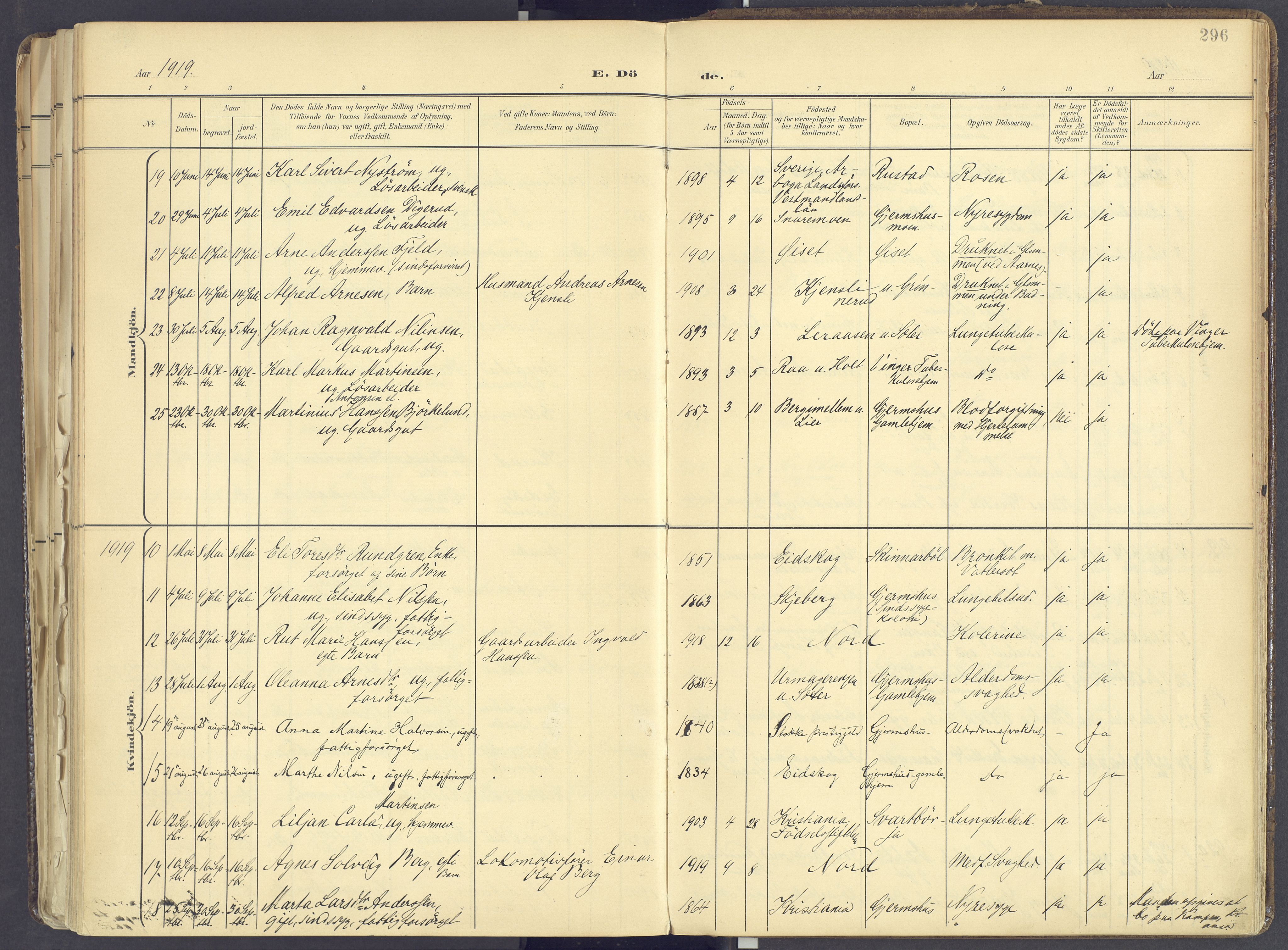 Vinger prestekontor, SAH/PREST-024/H/Ha/Haa/L0017: Parish register (official) no. 17, 1901-1927, p. 296
