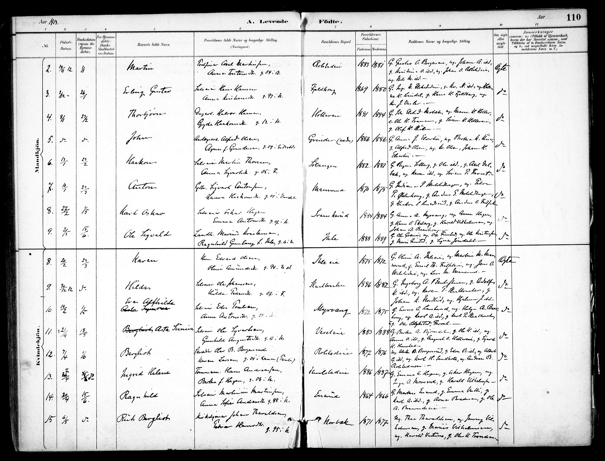 Nes prestekontor Kirkebøker, AV/SAO-A-10410/F/Fb/L0002: Parish register (official) no. II 2, 1883-1918, p. 110