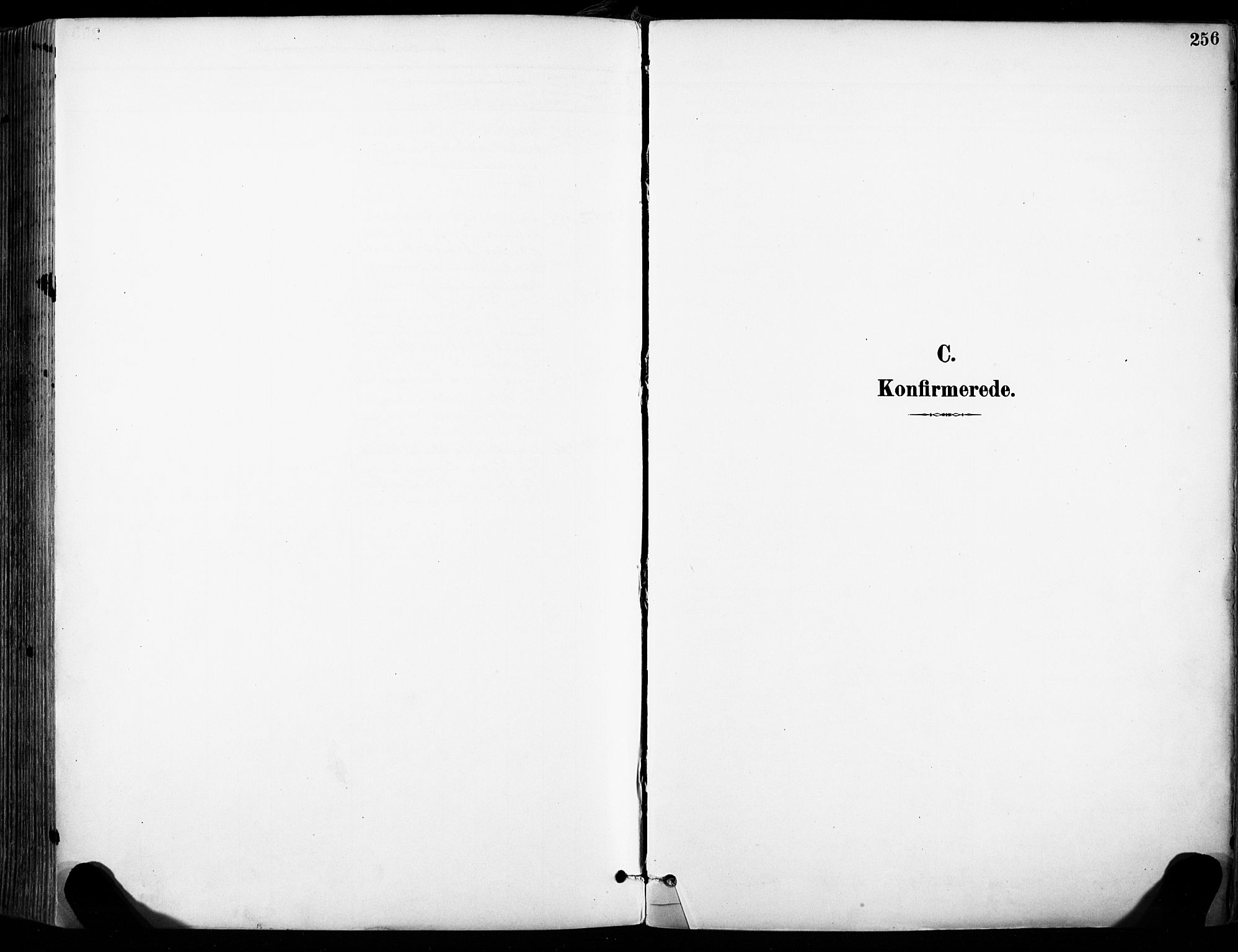 Sandar kirkebøker, SAKO/A-243/F/Fa/L0014: Parish register (official) no. 14, 1896-1909, p. 256