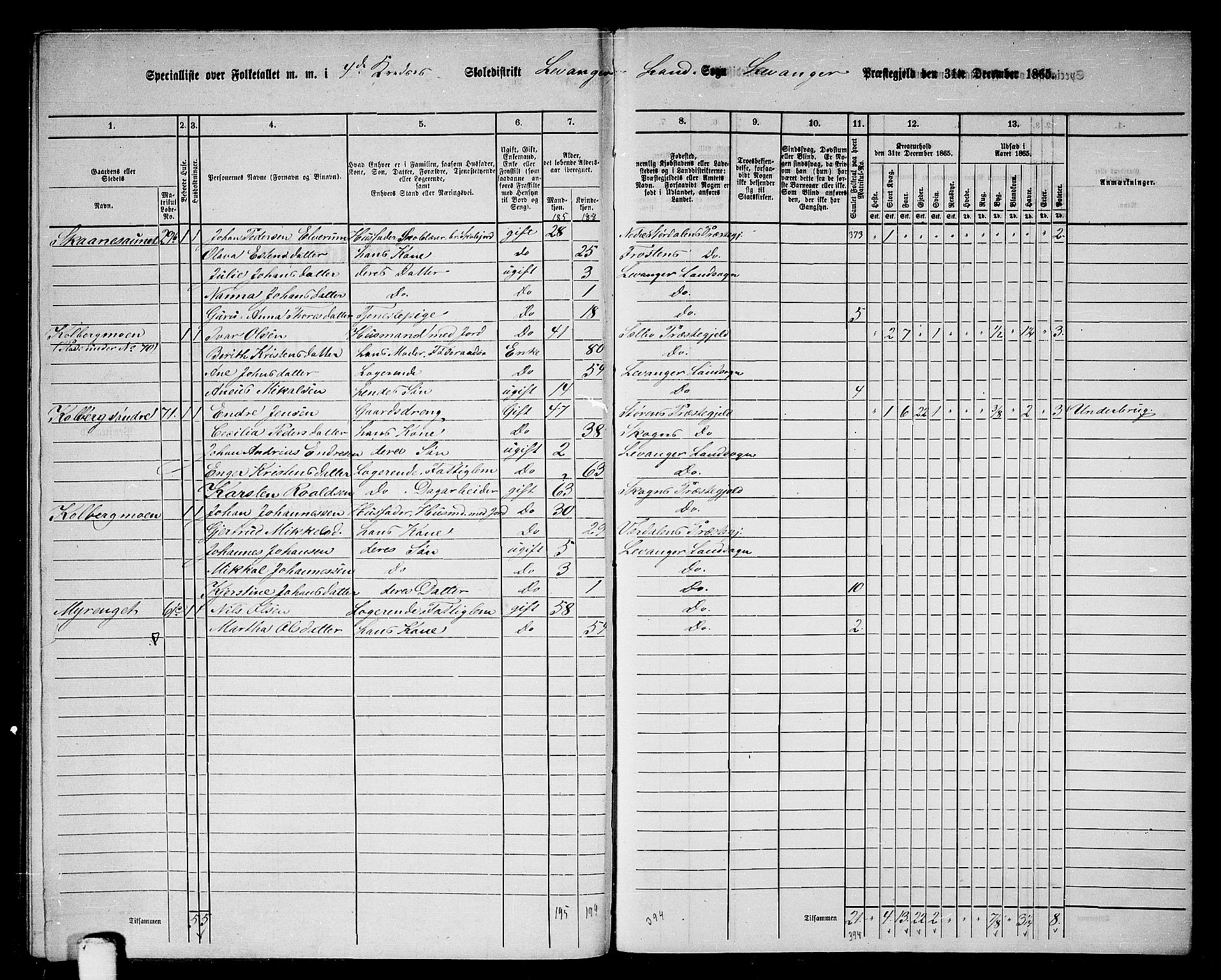 RA, 1865 census for Levanger/Levanger, 1865, p. 95