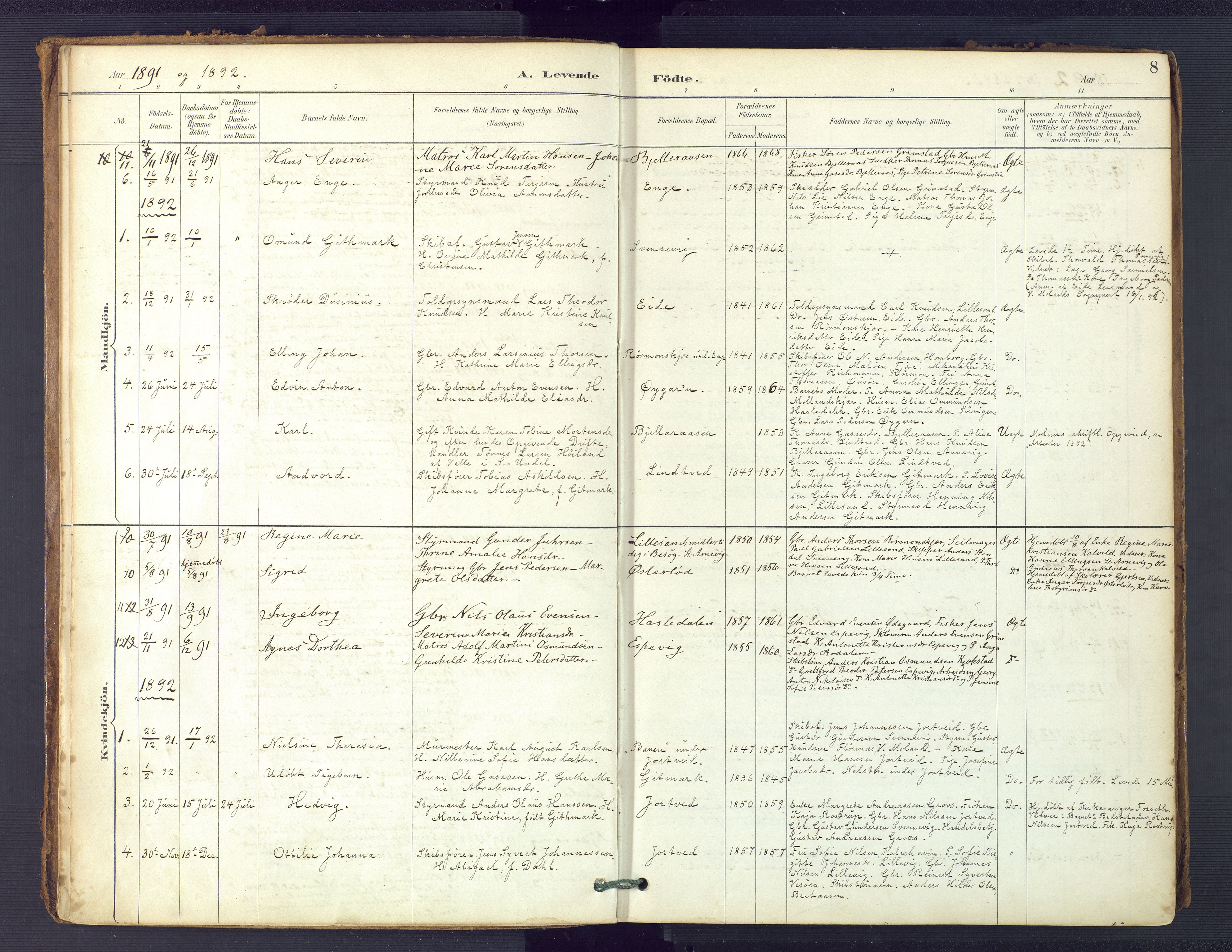 Hommedal sokneprestkontor, SAK/1111-0023/F/Fa/Faa/L0003: Parish register (official) no. A 3, 1885-1916, p. 8