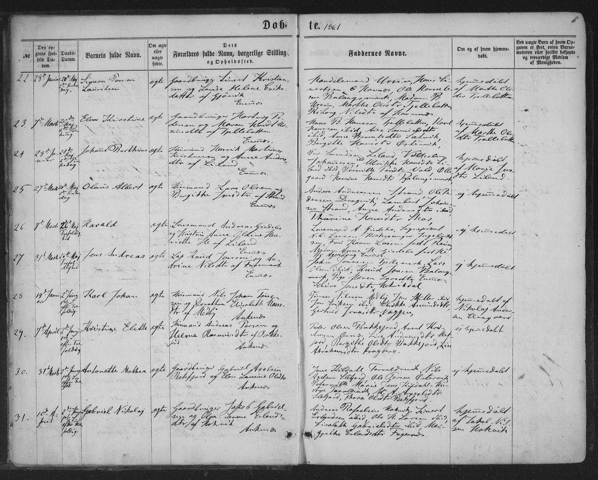 Ministerialprotokoller, klokkerbøker og fødselsregistre - Nordland, AV/SAT-A-1459/863/L0896: Parish register (official) no. 863A08, 1861-1871, p. 8