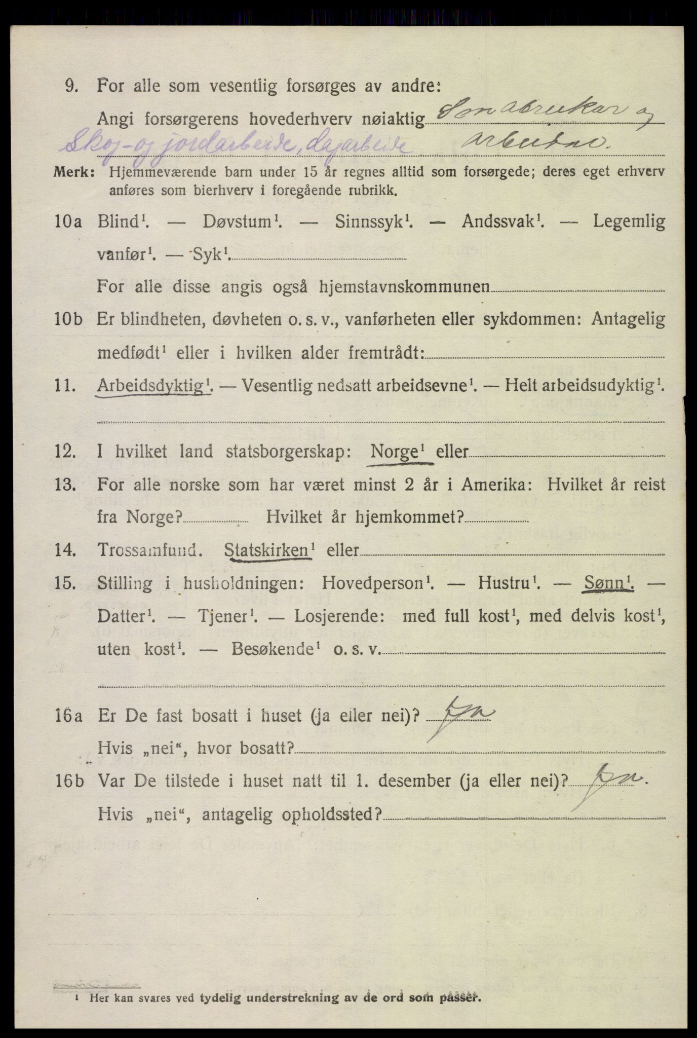 SAK, 1920 census for Hornnes, 1920, p. 1538