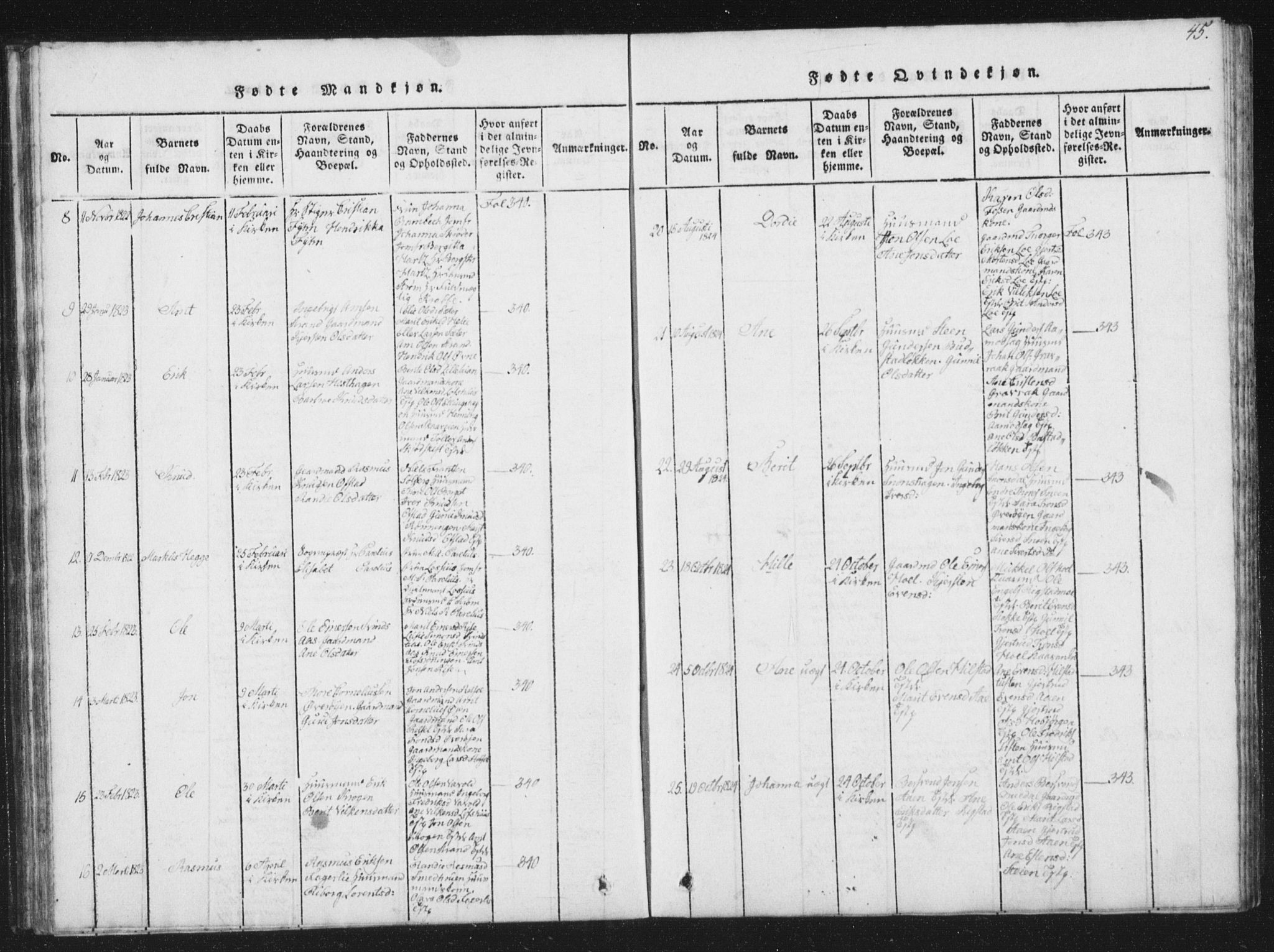 Ministerialprotokoller, klokkerbøker og fødselsregistre - Sør-Trøndelag, AV/SAT-A-1456/672/L0862: Parish register (copy) no. 672C01, 1816-1831, p. 45