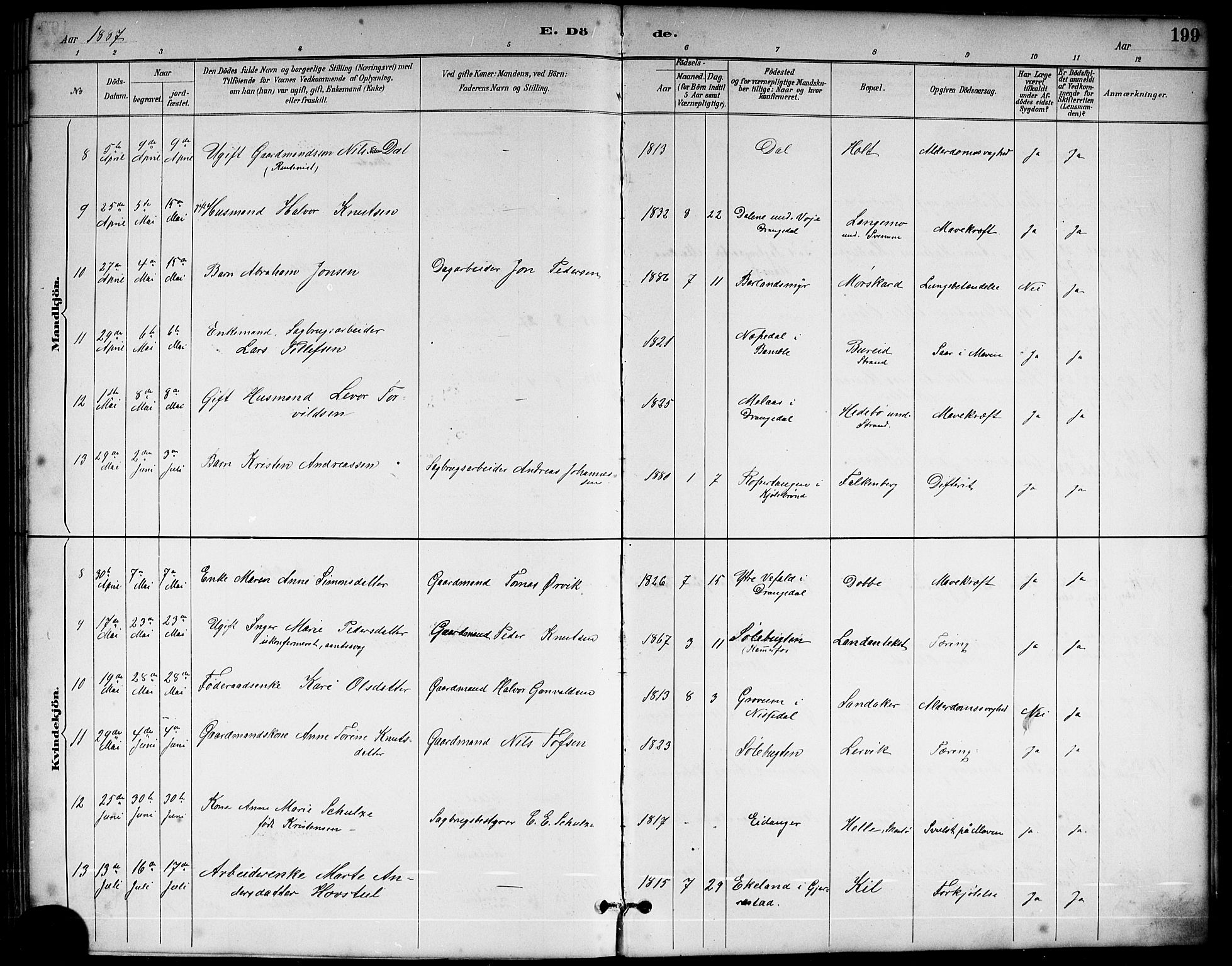 Sannidal kirkebøker, AV/SAKO-A-296/G/Ga/L0003: Parish register (copy) no. 3, 1887-1922, p. 199