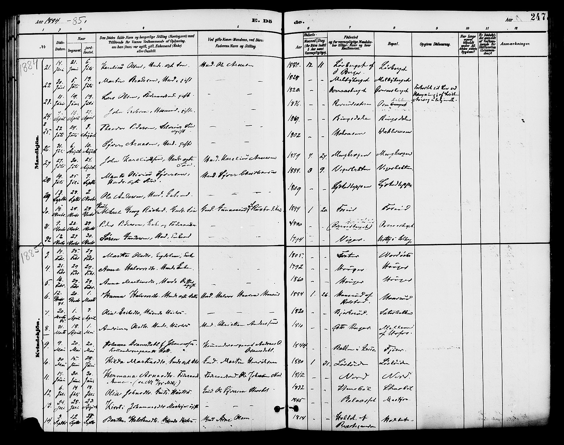 Brandval prestekontor, AV/SAH-PREST-034/H/Ha/Haa/L0002: Parish register (official) no. 2, 1880-1894, p. 247