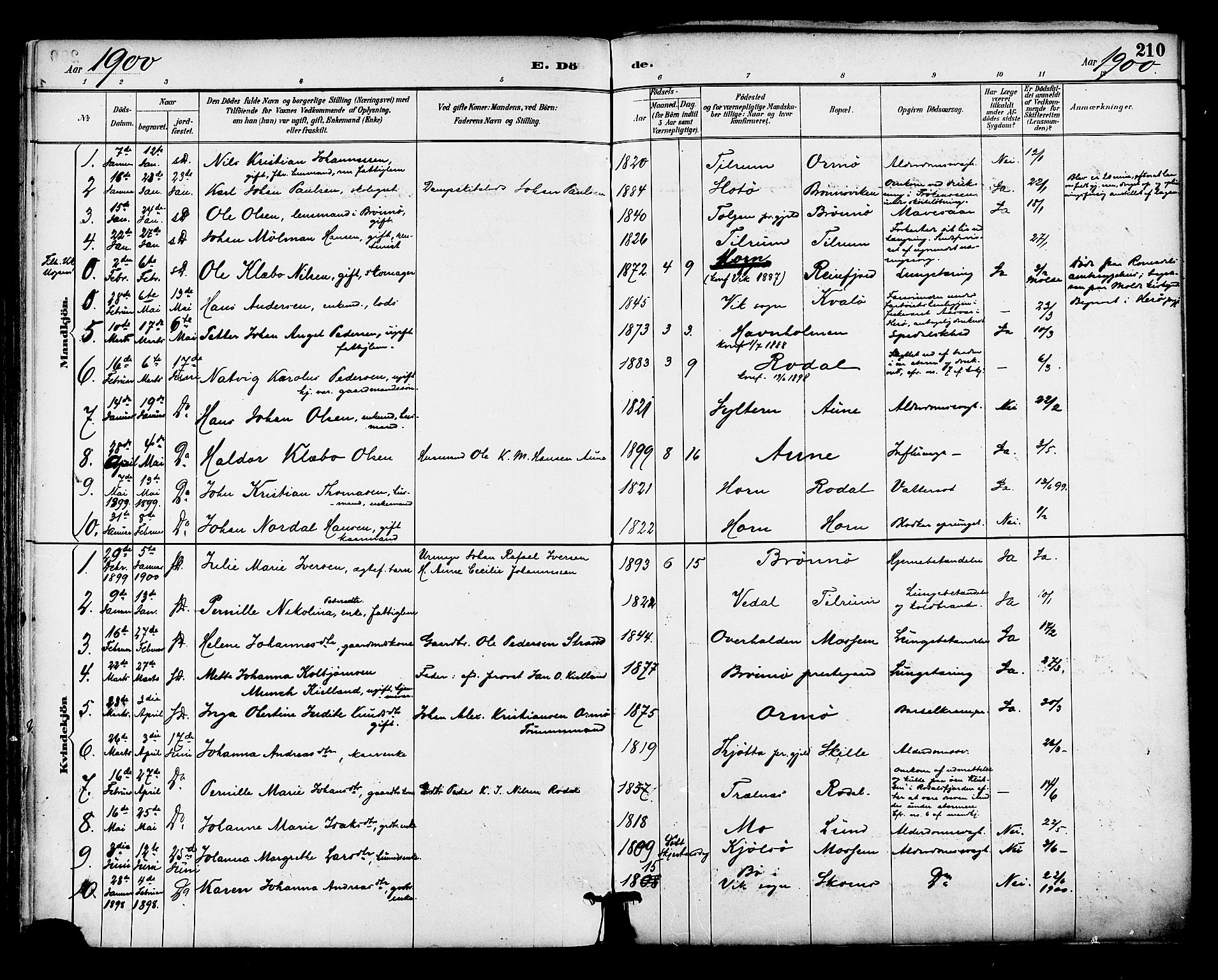 Ministerialprotokoller, klokkerbøker og fødselsregistre - Nordland, AV/SAT-A-1459/813/L0200: Parish register (official) no. 813A10, 1886-1900, p. 210