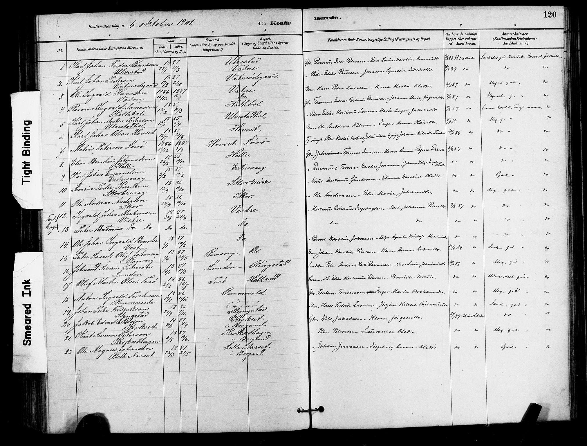 Ministerialprotokoller, klokkerbøker og fødselsregistre - Møre og Romsdal, AV/SAT-A-1454/525/L0376: Parish register (copy) no. 525C02, 1880-1902, p. 120