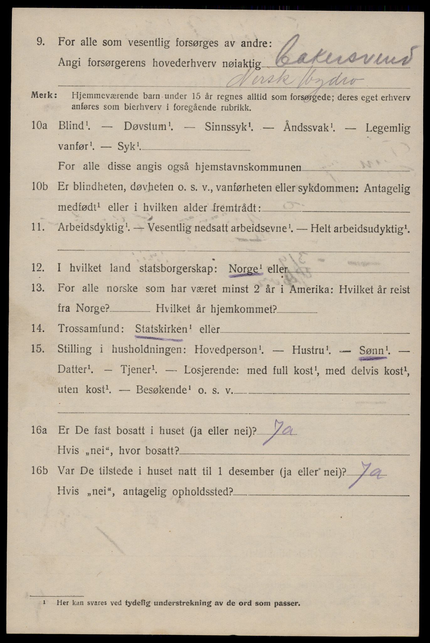 SAKO, 1920 census for Tinn, 1920, p. 10039