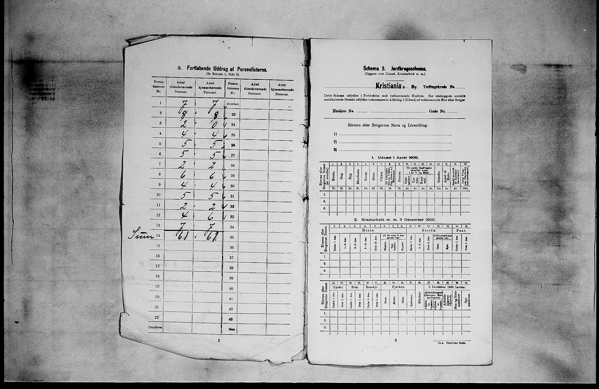 SAO, 1900 census for Kristiania, 1900, p. 5296