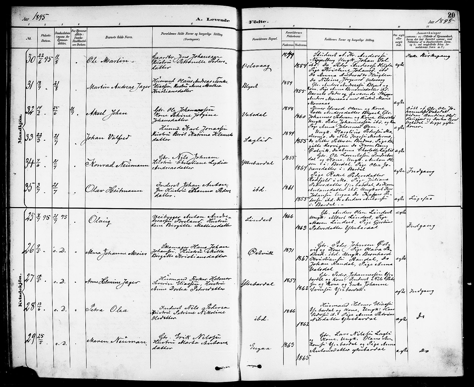 Ministerialprotokoller, klokkerbøker og fødselsregistre - Nordland, AV/SAT-A-1459/838/L0559: Parish register (copy) no. 838C06, 1893-1910, p. 20