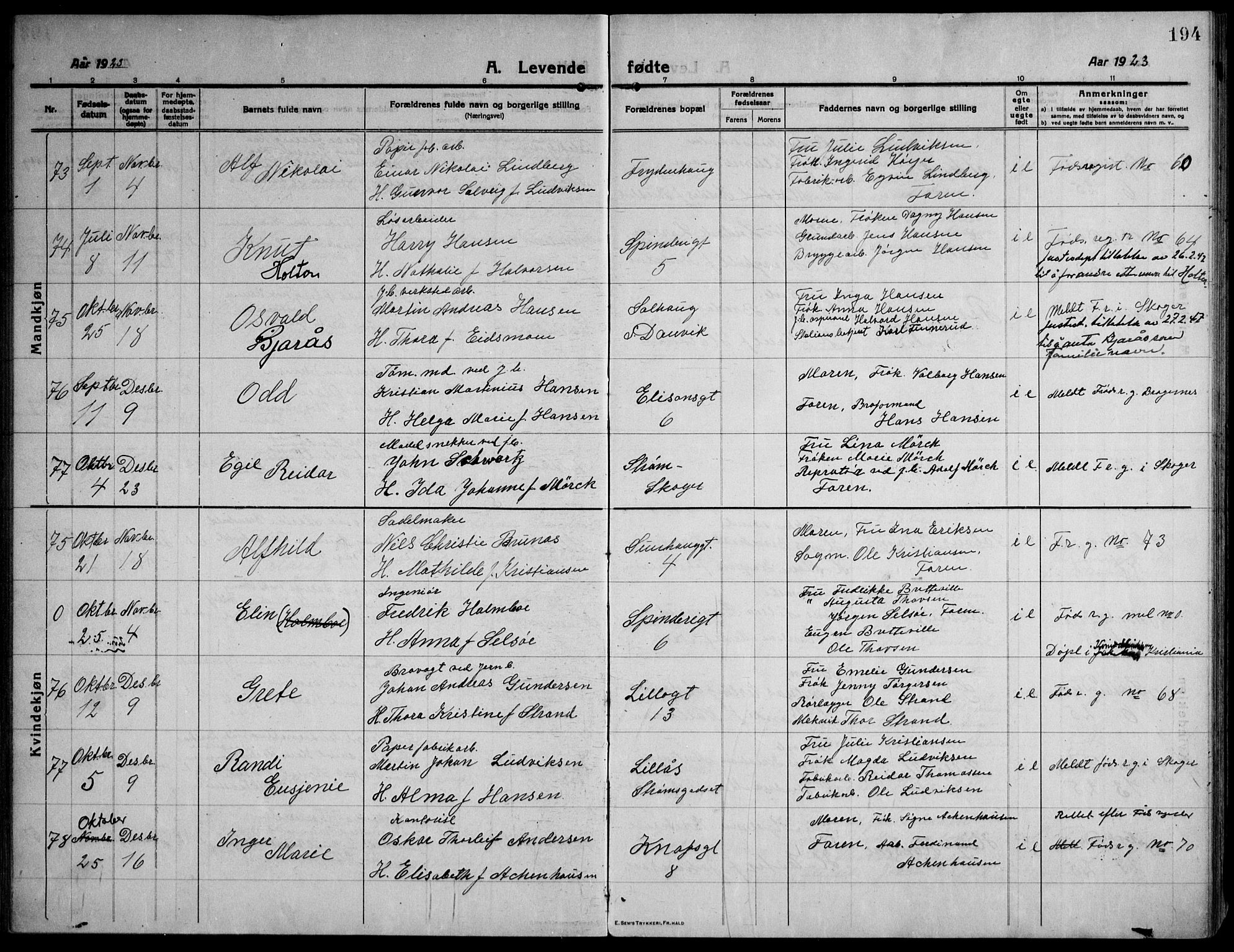 Strømsø kirkebøker, AV/SAKO-A-246/F/Fa/L0029: Parish register (official) no. I 27, 1915-1930, p. 194