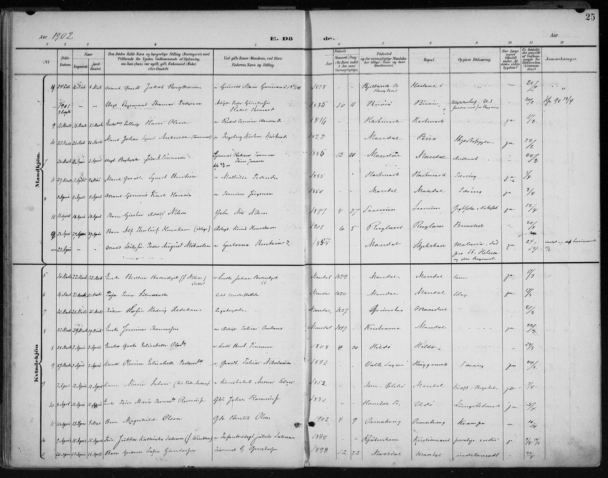 Mandal sokneprestkontor, AV/SAK-1111-0030/F/Fa/Faa/L0021: Parish register (official) no. A 21, 1898-1913, p. 25