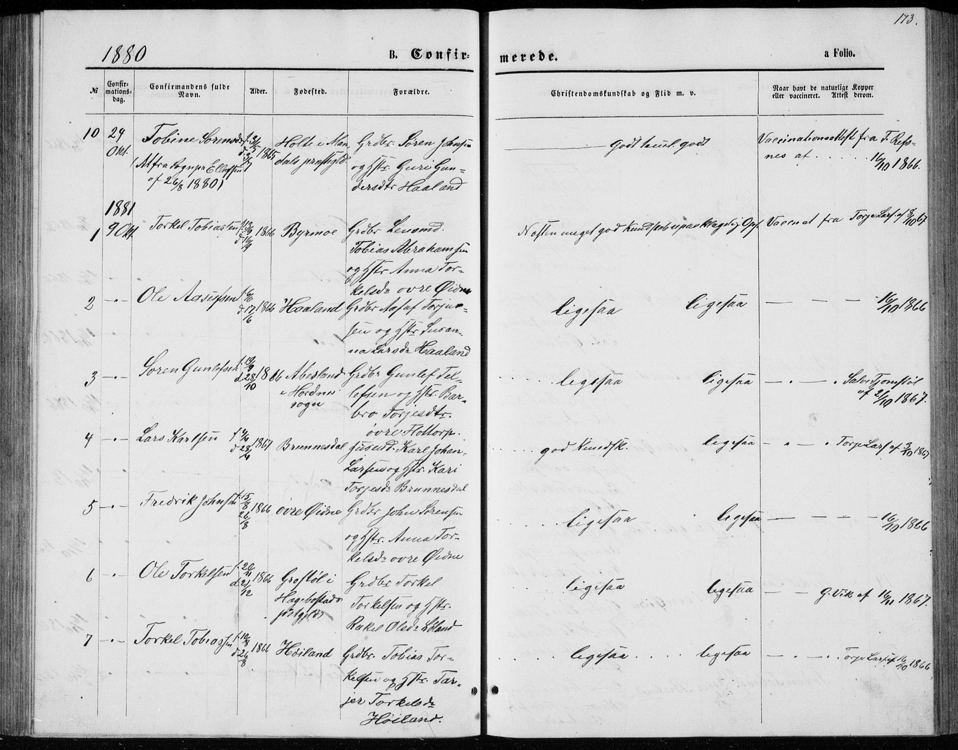 Bjelland sokneprestkontor, SAK/1111-0005/F/Fb/Fbc/L0002: Parish register (copy) no. B 2, 1867-1887, p. 173