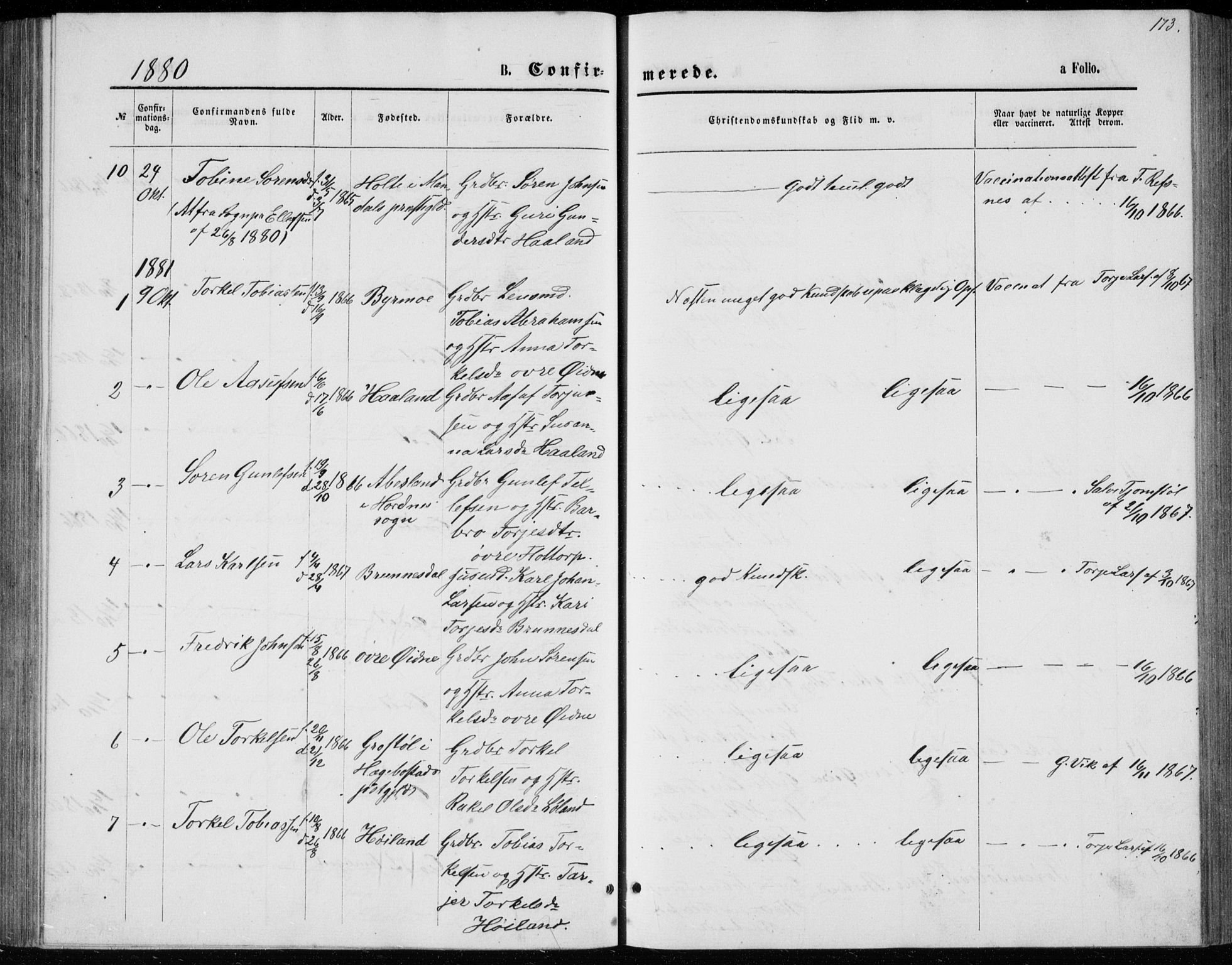 Bjelland sokneprestkontor, AV/SAK-1111-0005/F/Fb/Fbc/L0002: Parish register (copy) no. B 2, 1867-1887, p. 173