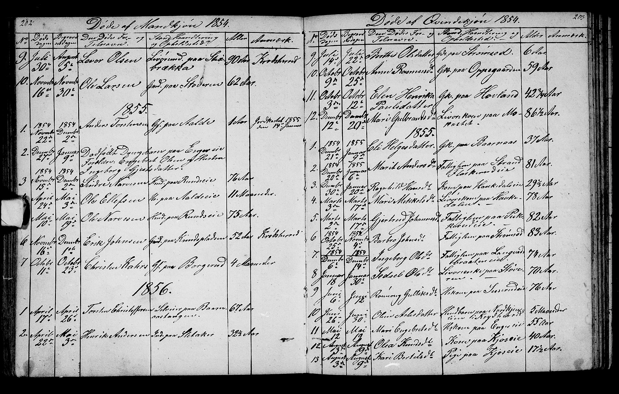 Lunder kirkebøker, SAKO/A-629/G/Ga/L0002: Parish register (copy) no. I 2, 1849-1868, p. 202-203