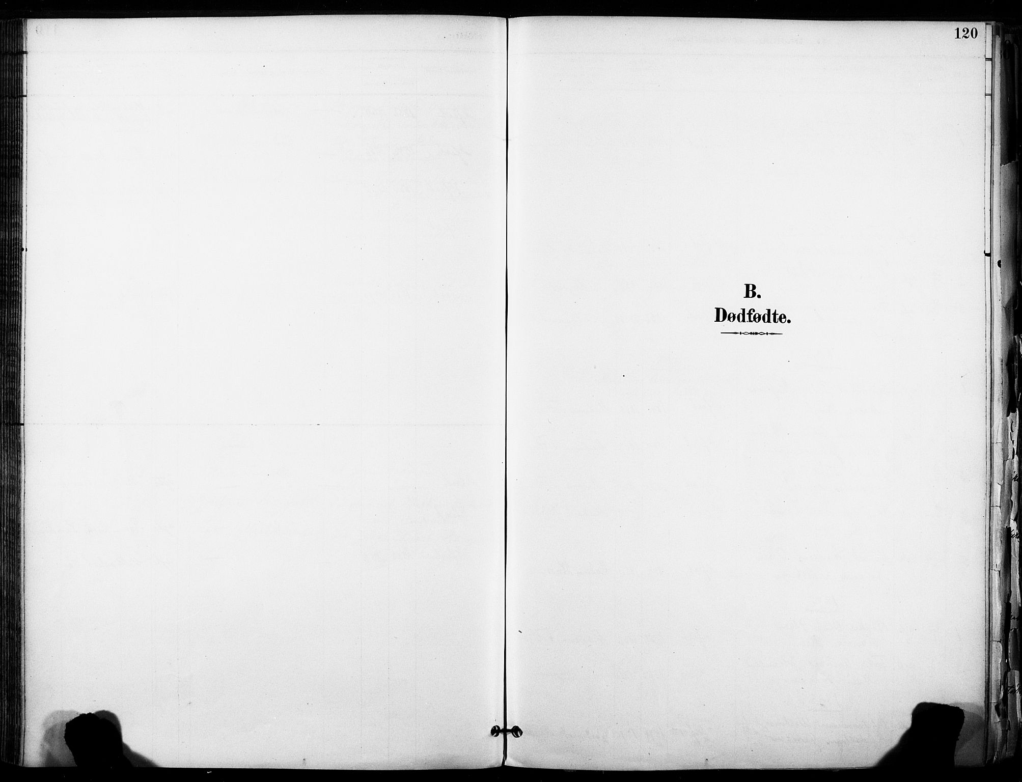 Hammerfest sokneprestkontor, AV/SATØ-S-1347/H/Ha/L0009.kirke: Parish register (official) no. 9, 1889-1897, p. 120