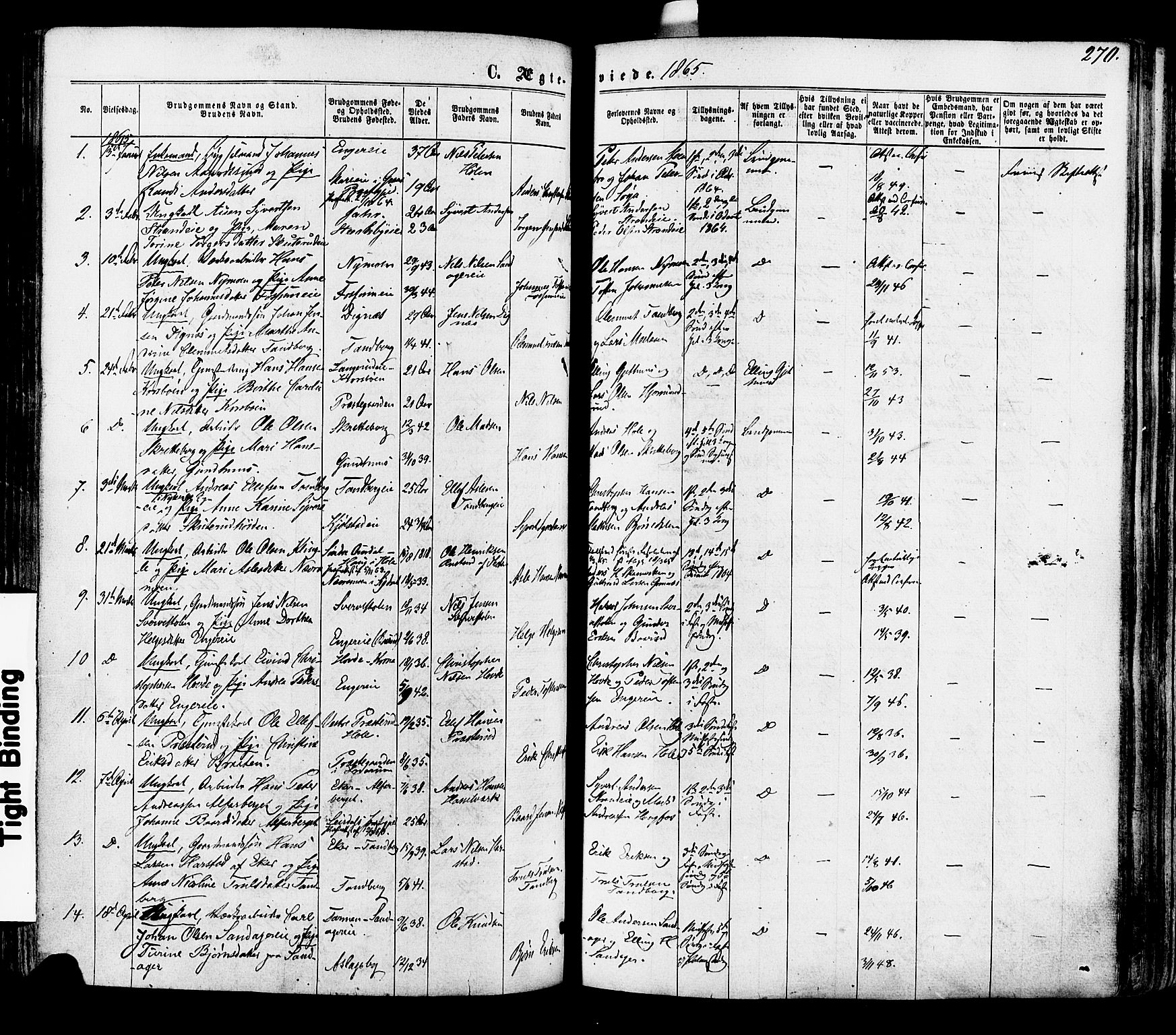 Modum kirkebøker, SAKO/A-234/F/Fa/L0010: Parish register (official) no. 10, 1865-1876, p. 270