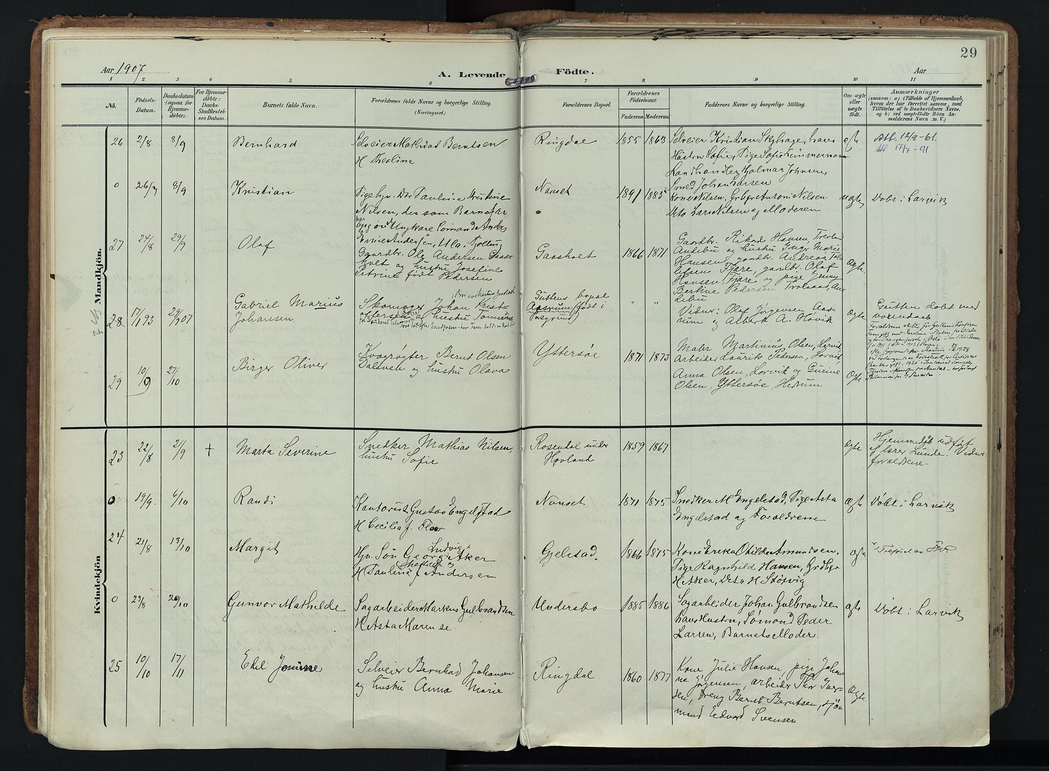 Hedrum kirkebøker, SAKO/A-344/F/Fa/L0010: Parish register (official) no. I 10, 1904-1918, p. 29