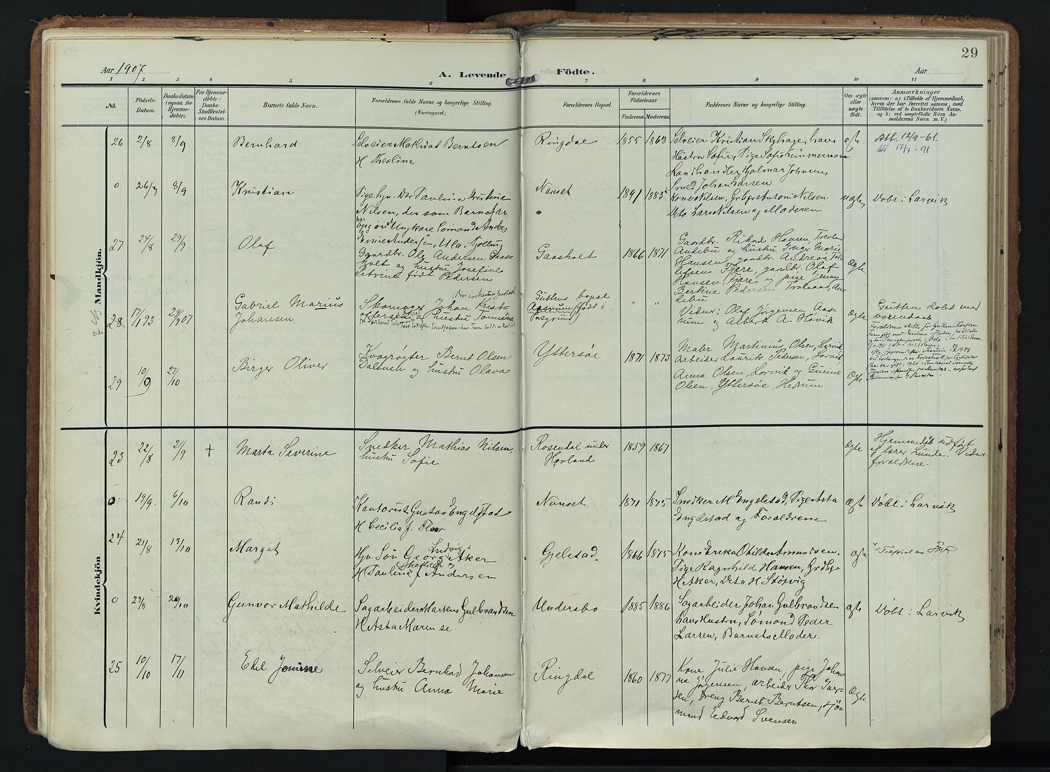 Hedrum kirkebøker, AV/SAKO-A-344/F/Fa/L0010: Parish register (official) no. I 10, 1904-1918, p. 29