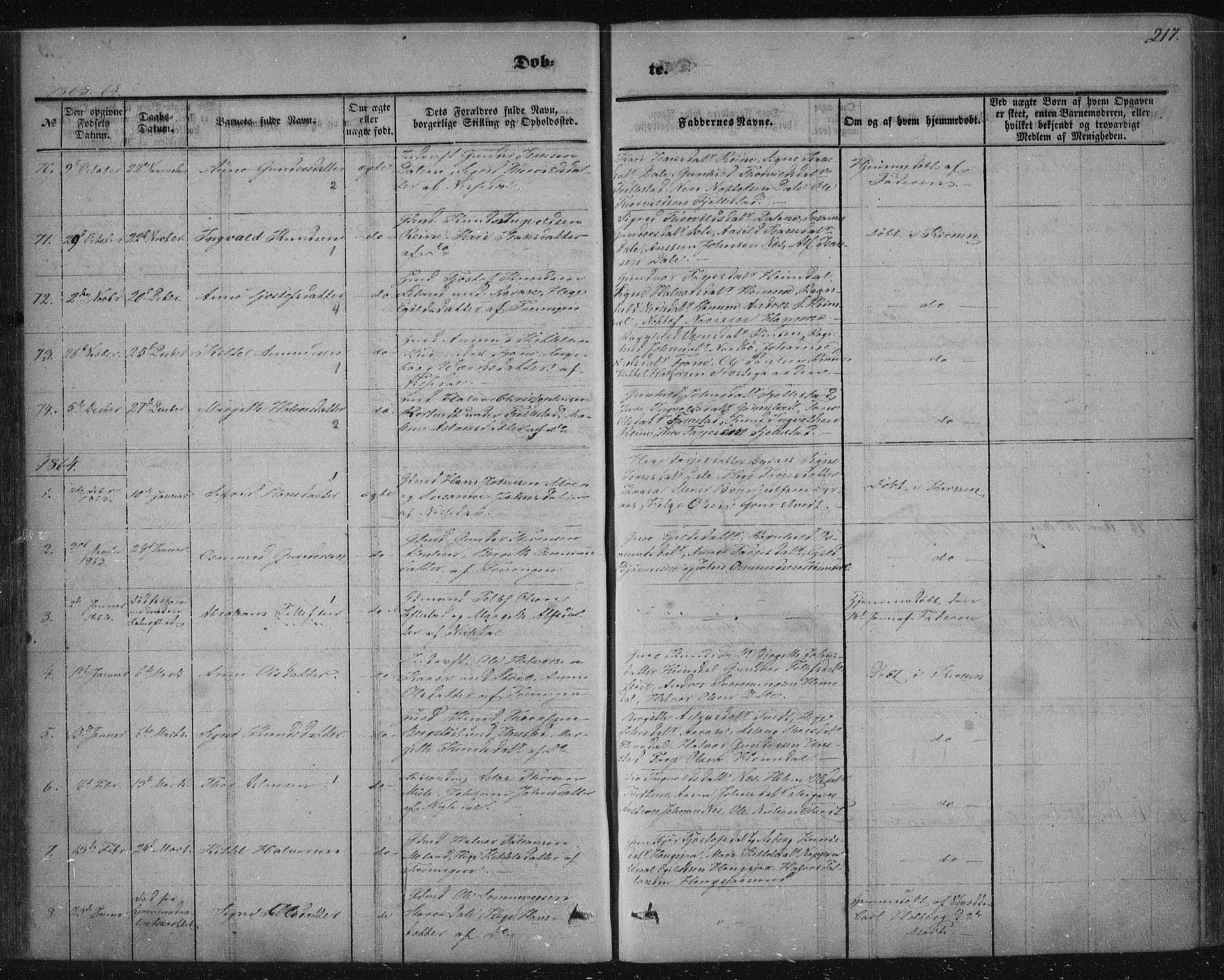 Nissedal kirkebøker, SAKO/A-288/F/Fa/L0003: Parish register (official) no. I 3, 1846-1870, p. 216-217